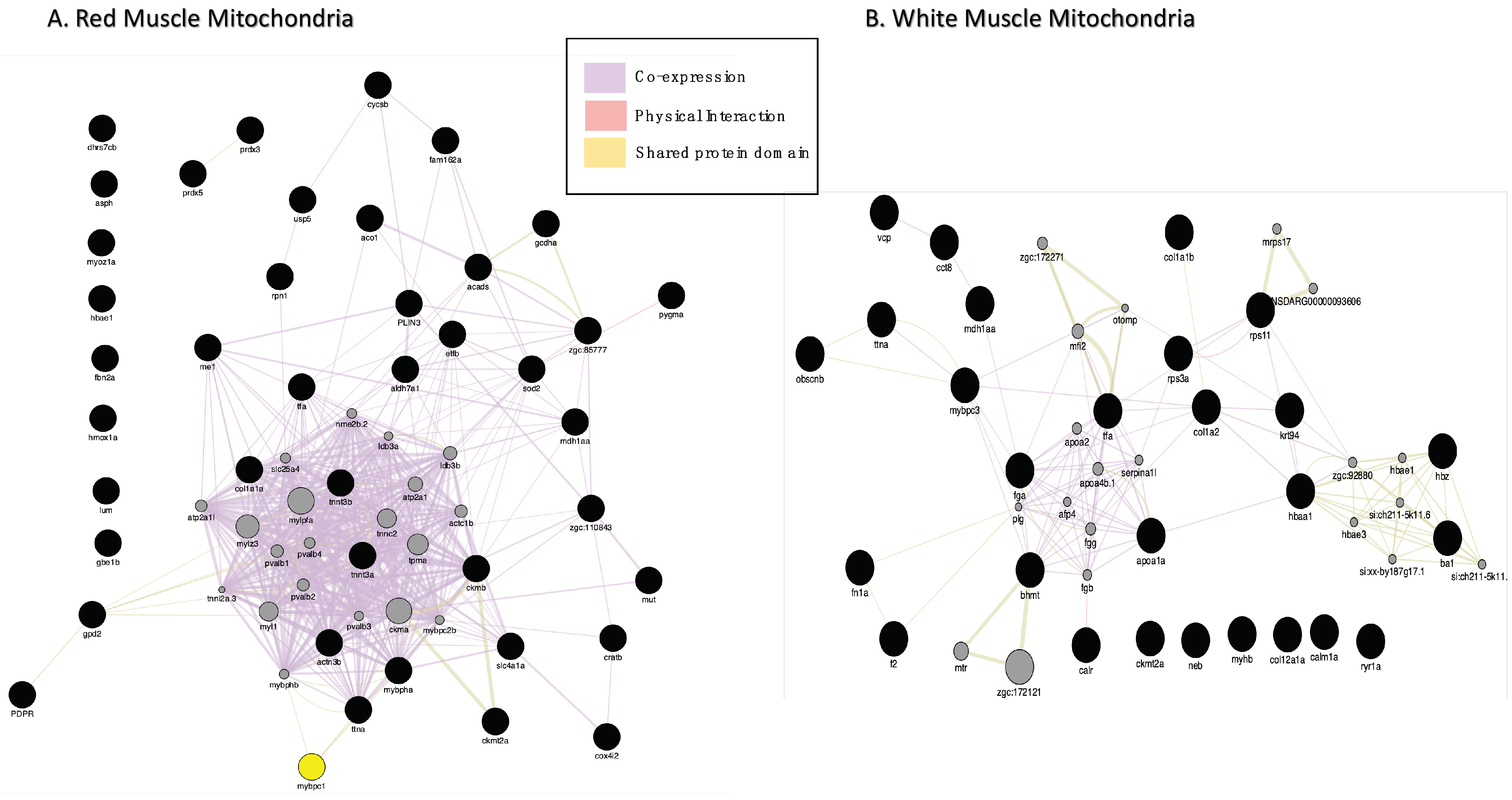 Biology 11 01118 g004 Biology 11 01118 g004