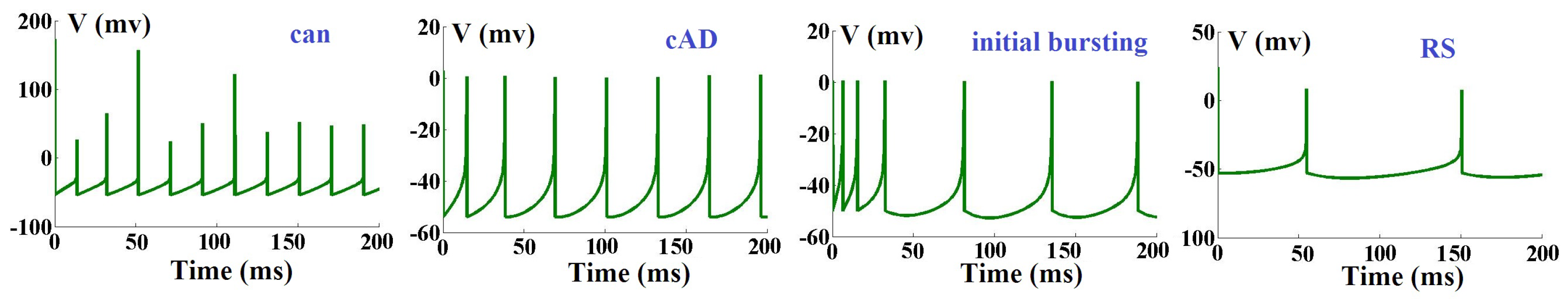 Biology 11 01125 g001 550