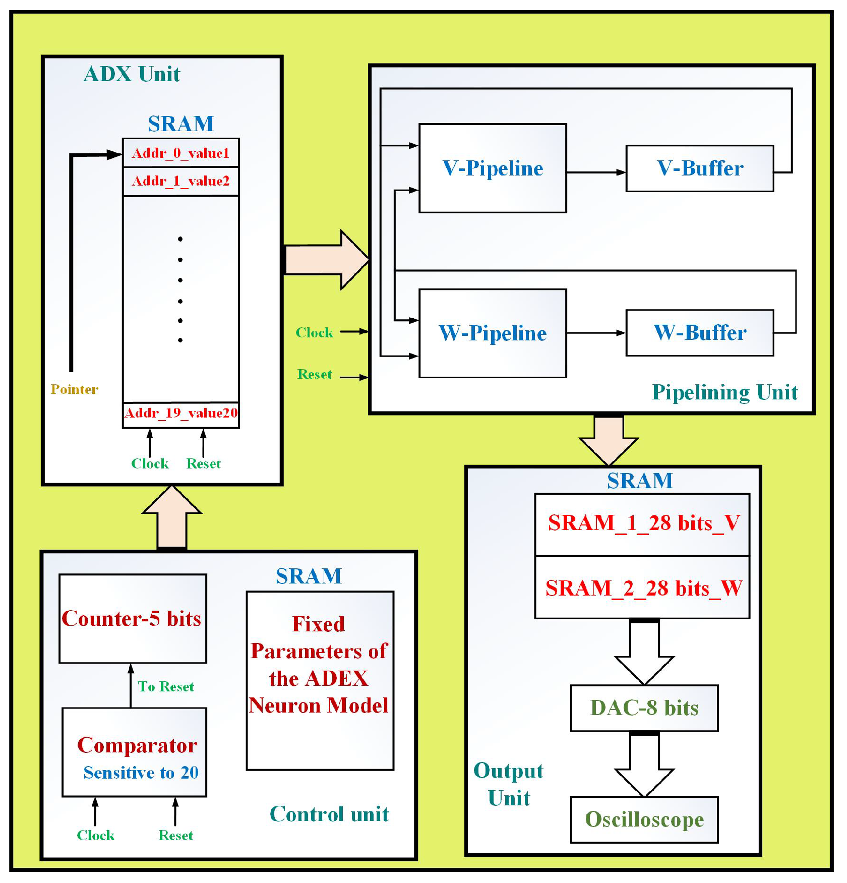 Biology 11 01125 g005 550