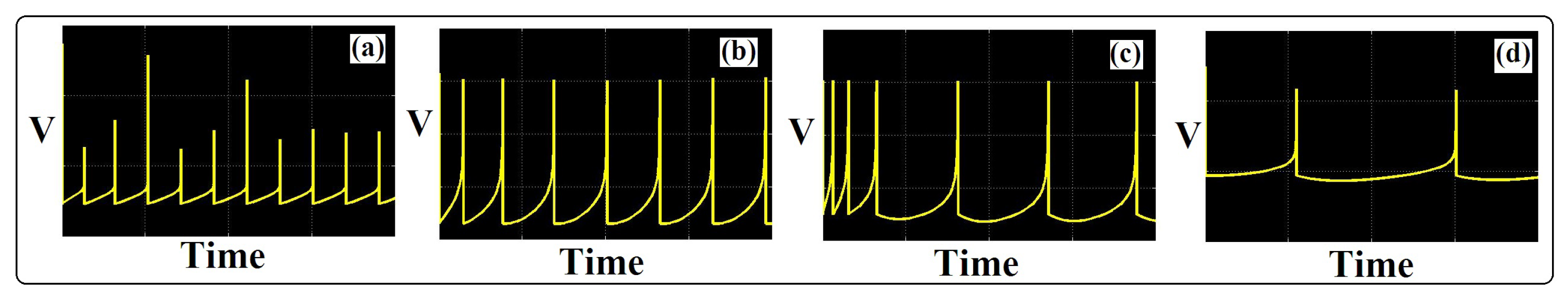 Biology 11 01125 g008 550