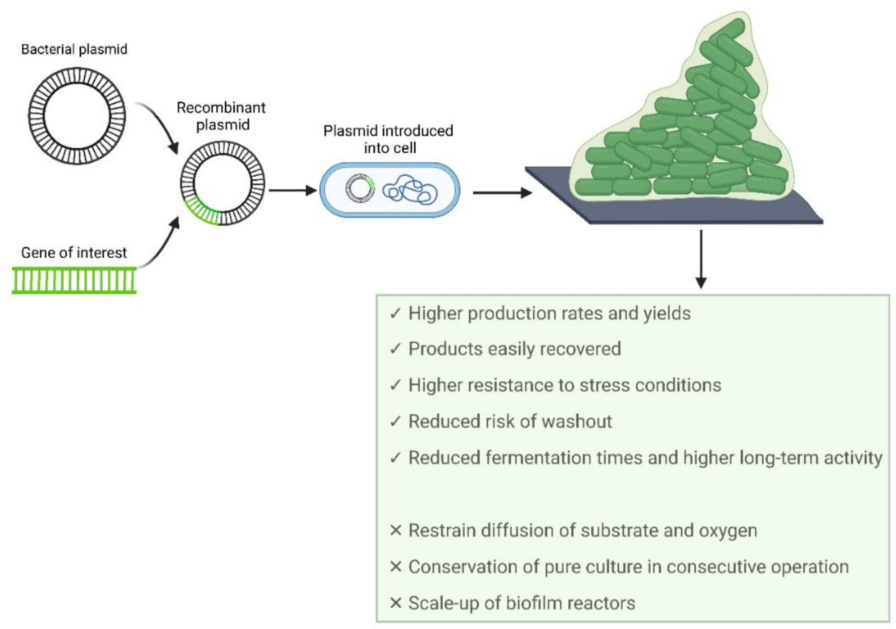 Biology 11 01126 g002 Biology 11 01126 g002