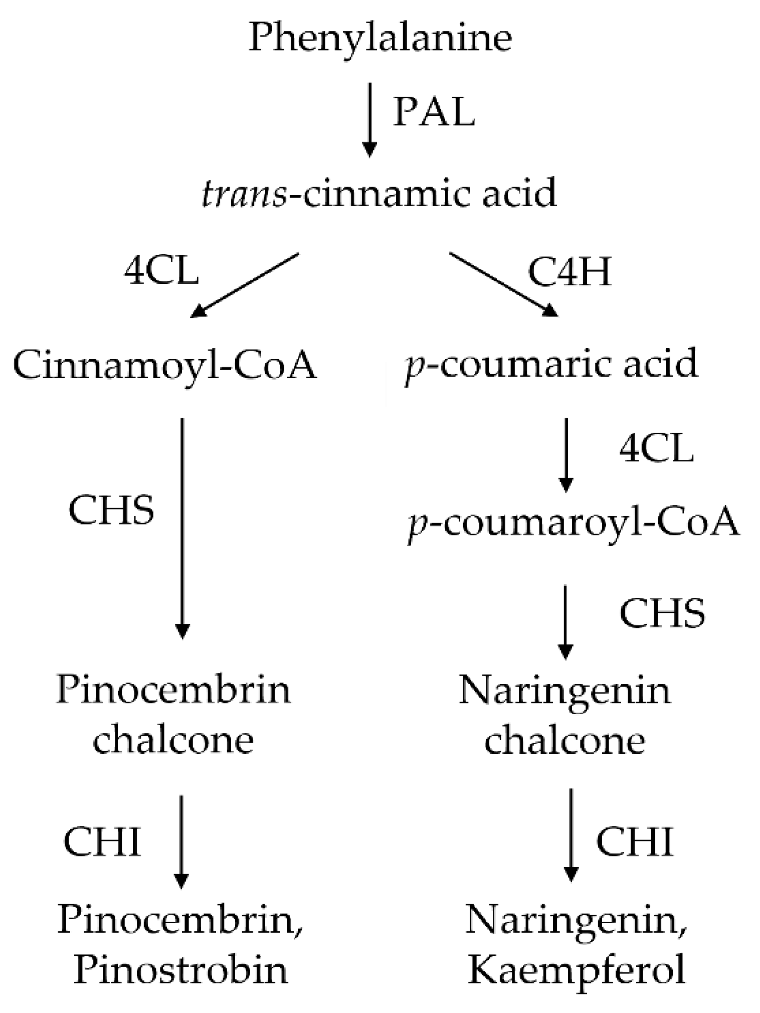 Biology 11 01127 g001 Biology 11 01127 g001