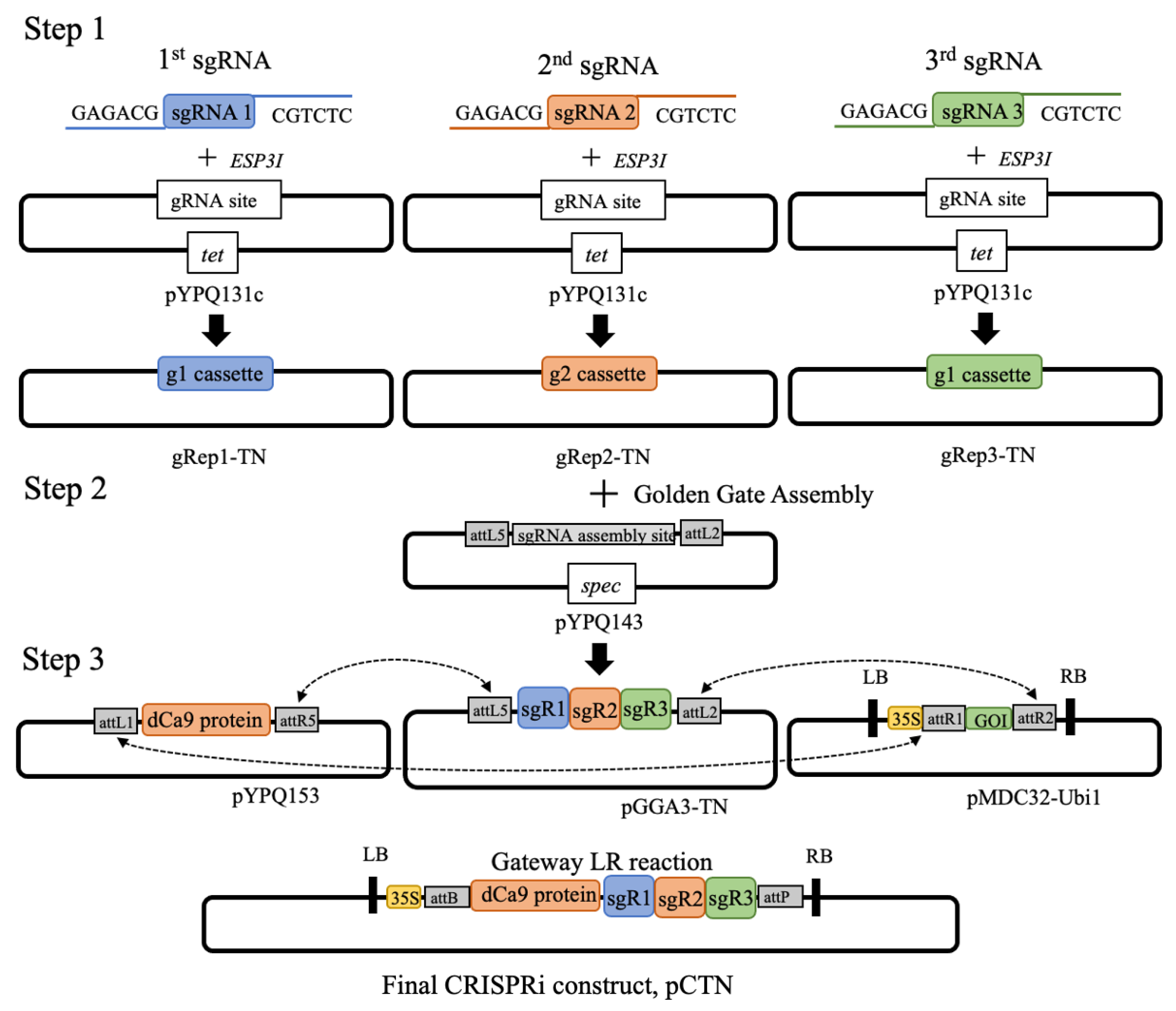 Biology 11 01127 g002 Biology 11 01127 g002