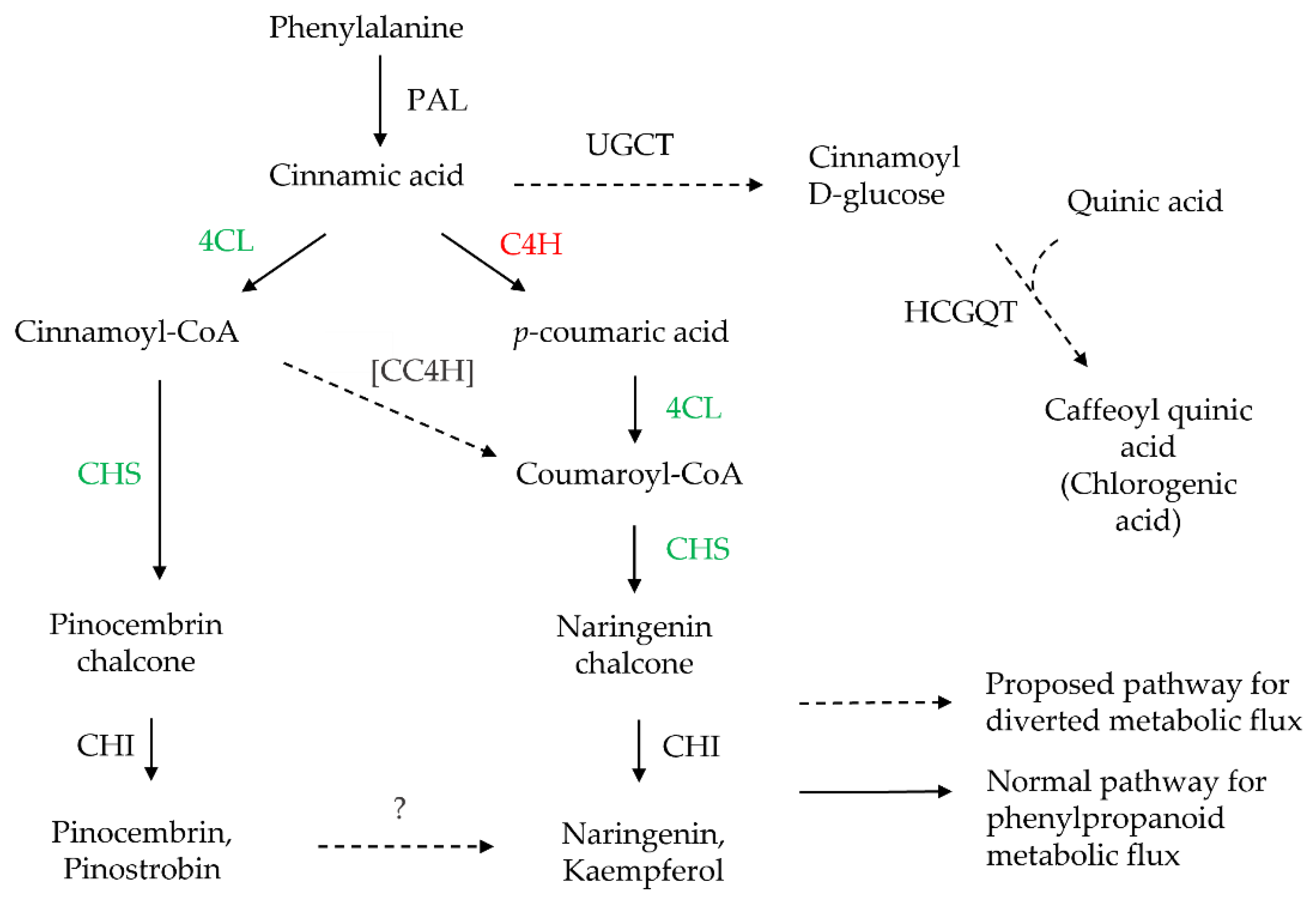 Biology 11 01127 g006 Biology 11 01127 g006