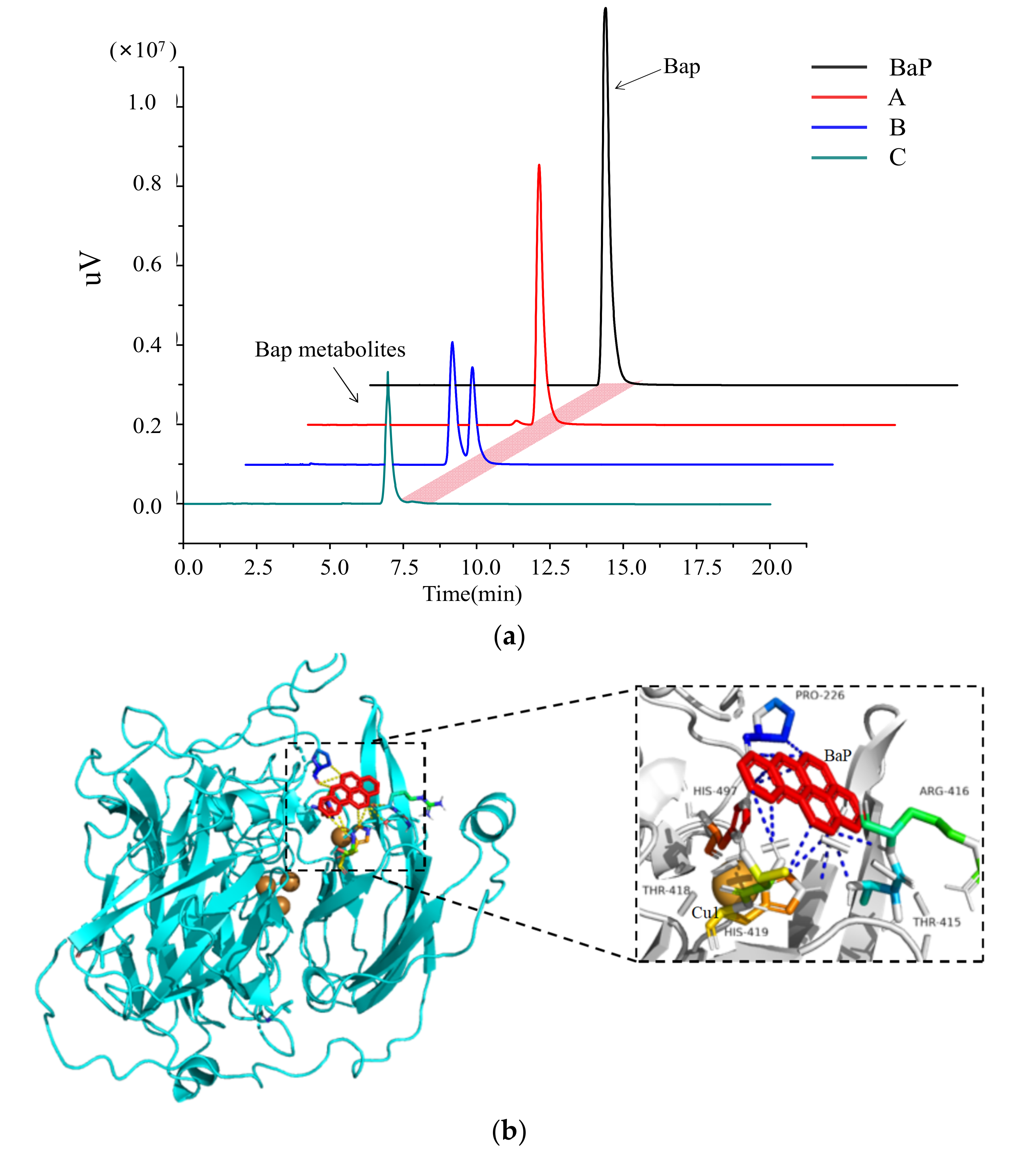 Biology 11 01129 g001