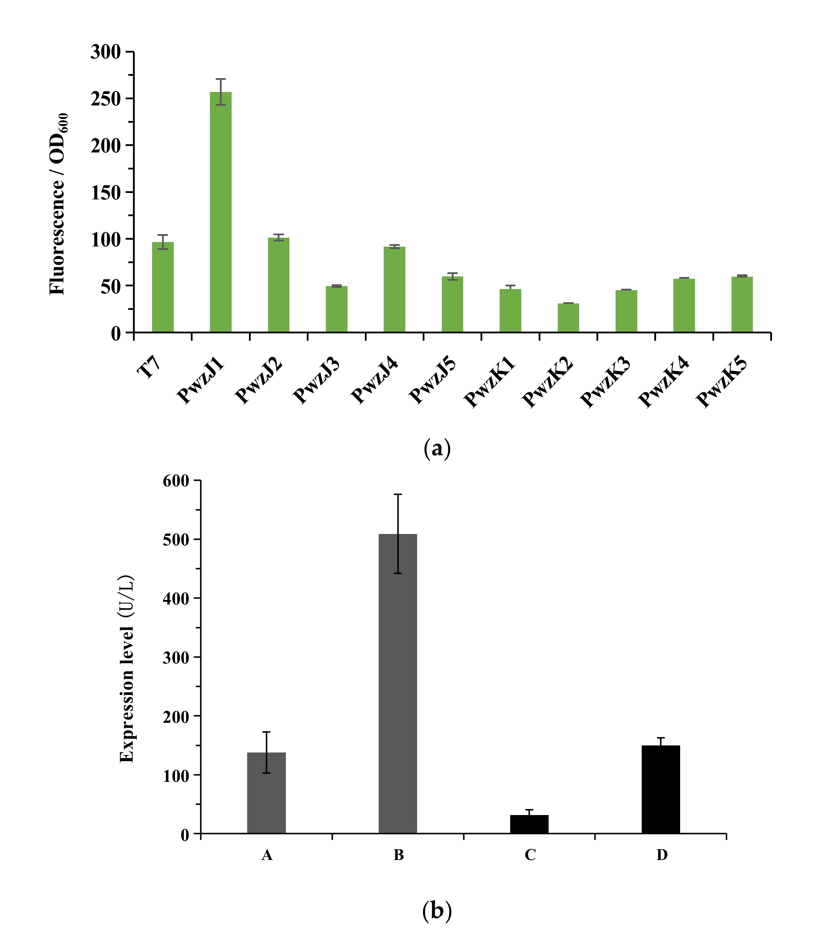 Biology 11 01129 g006