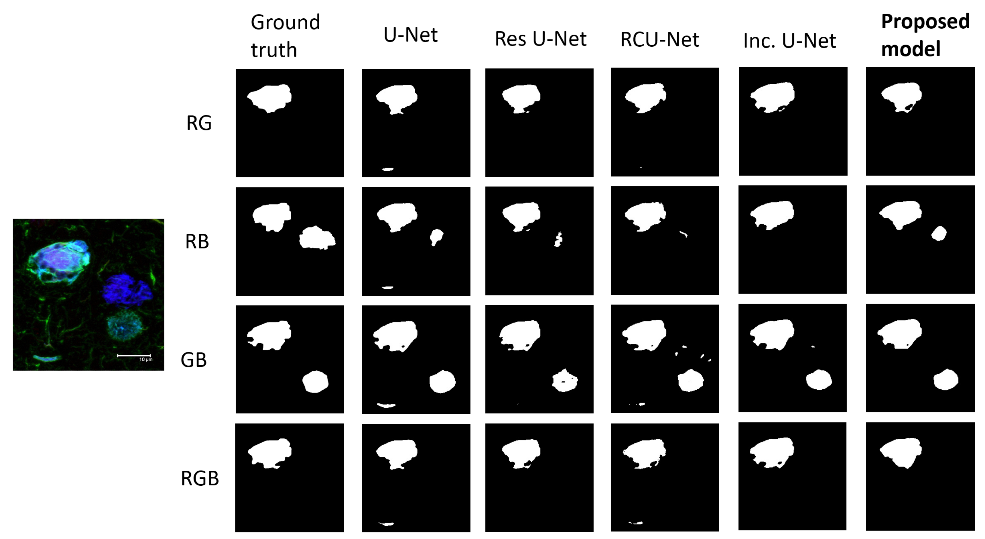 Biology 11 01131 g005