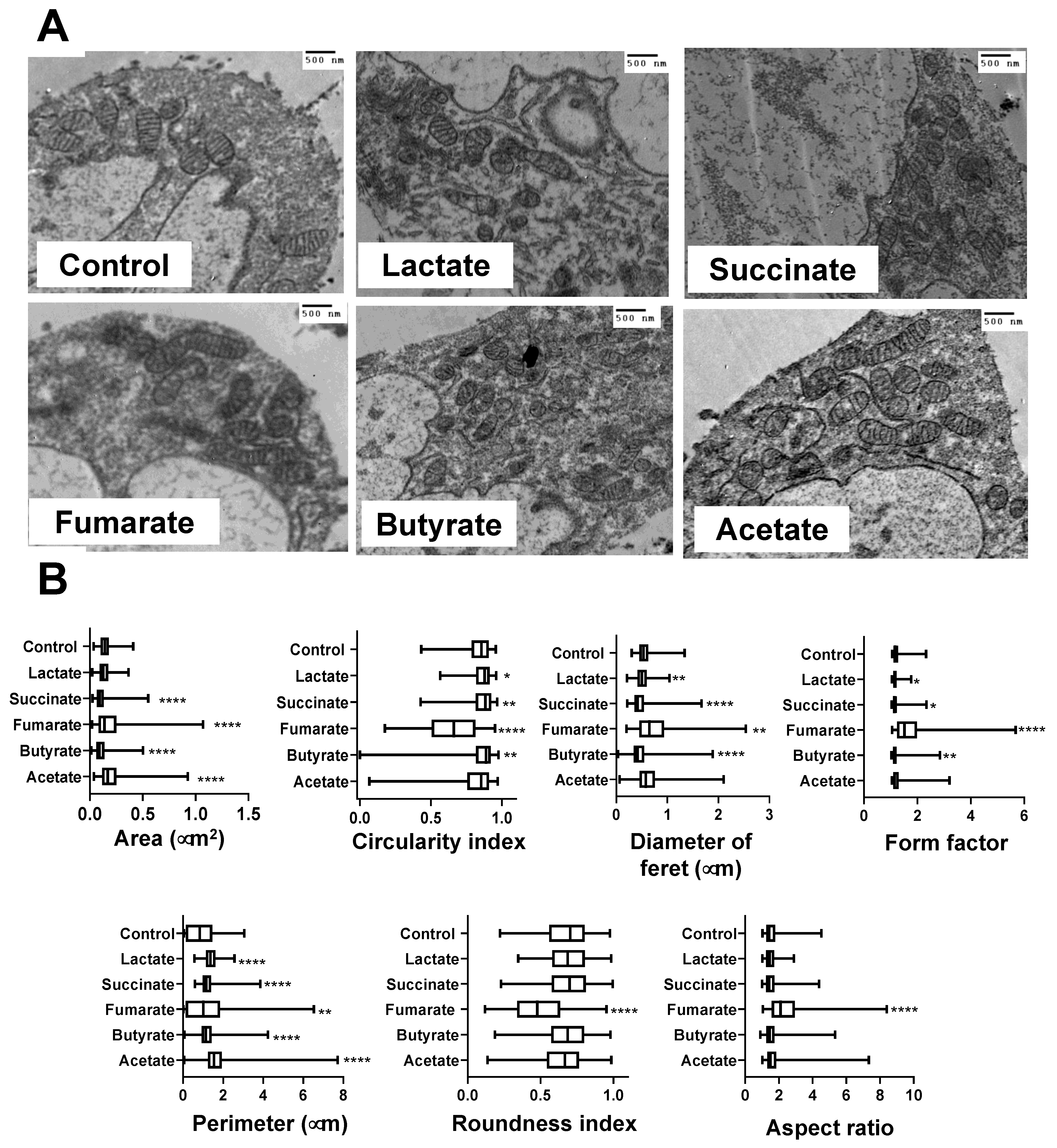 Biology 11 01132 g002 Biology 11 01132 g002