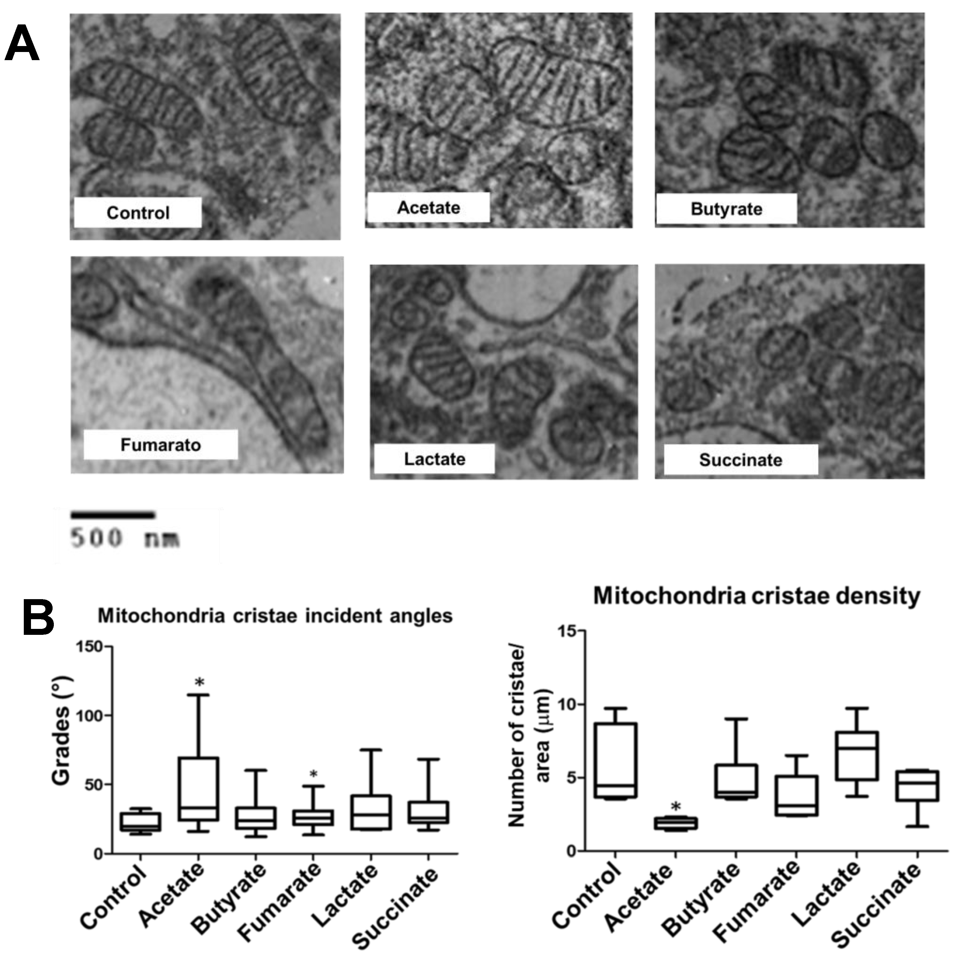 Biology 11 01132 g003 Biology 11 01132 g003