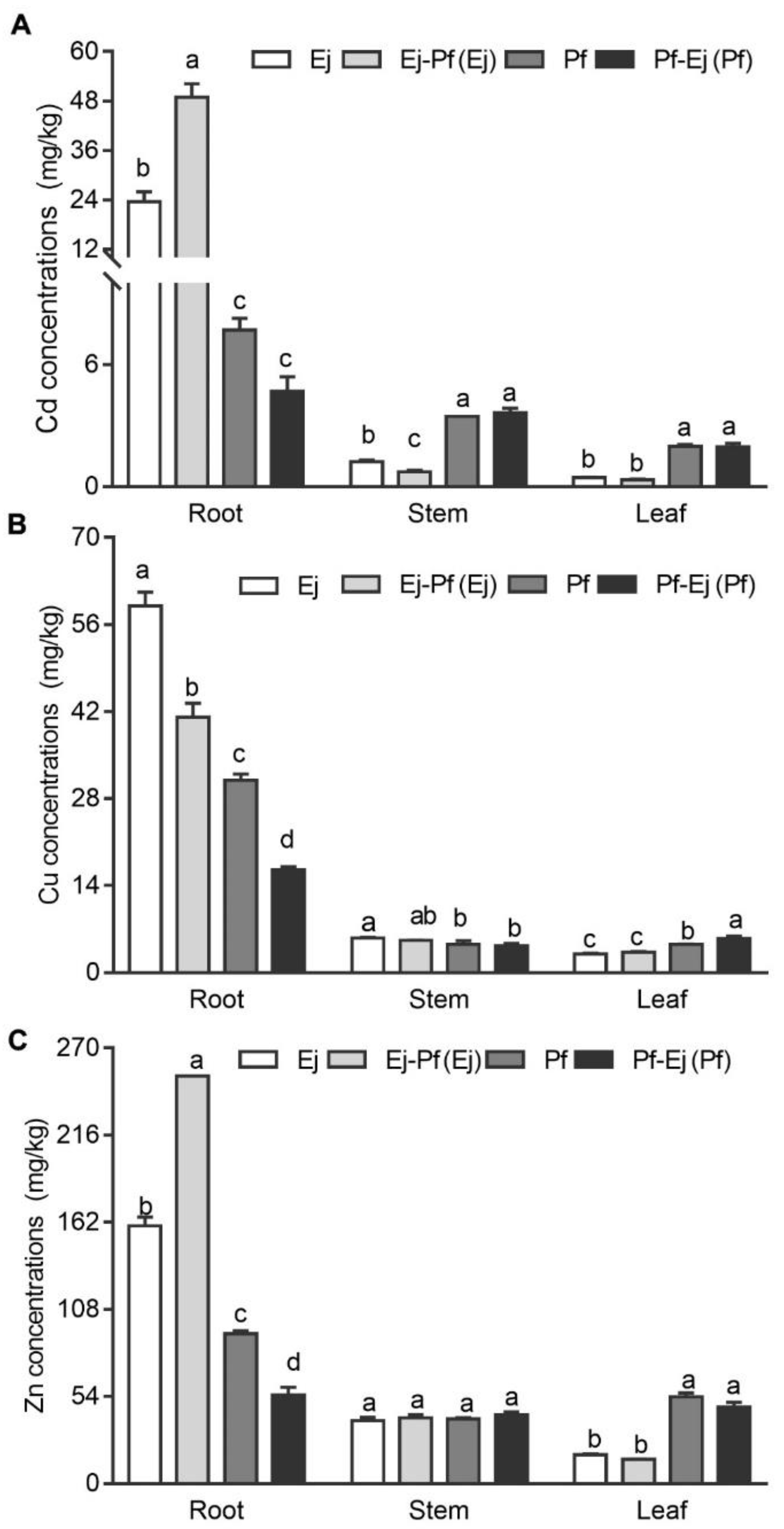 Biology 11 01133 g002