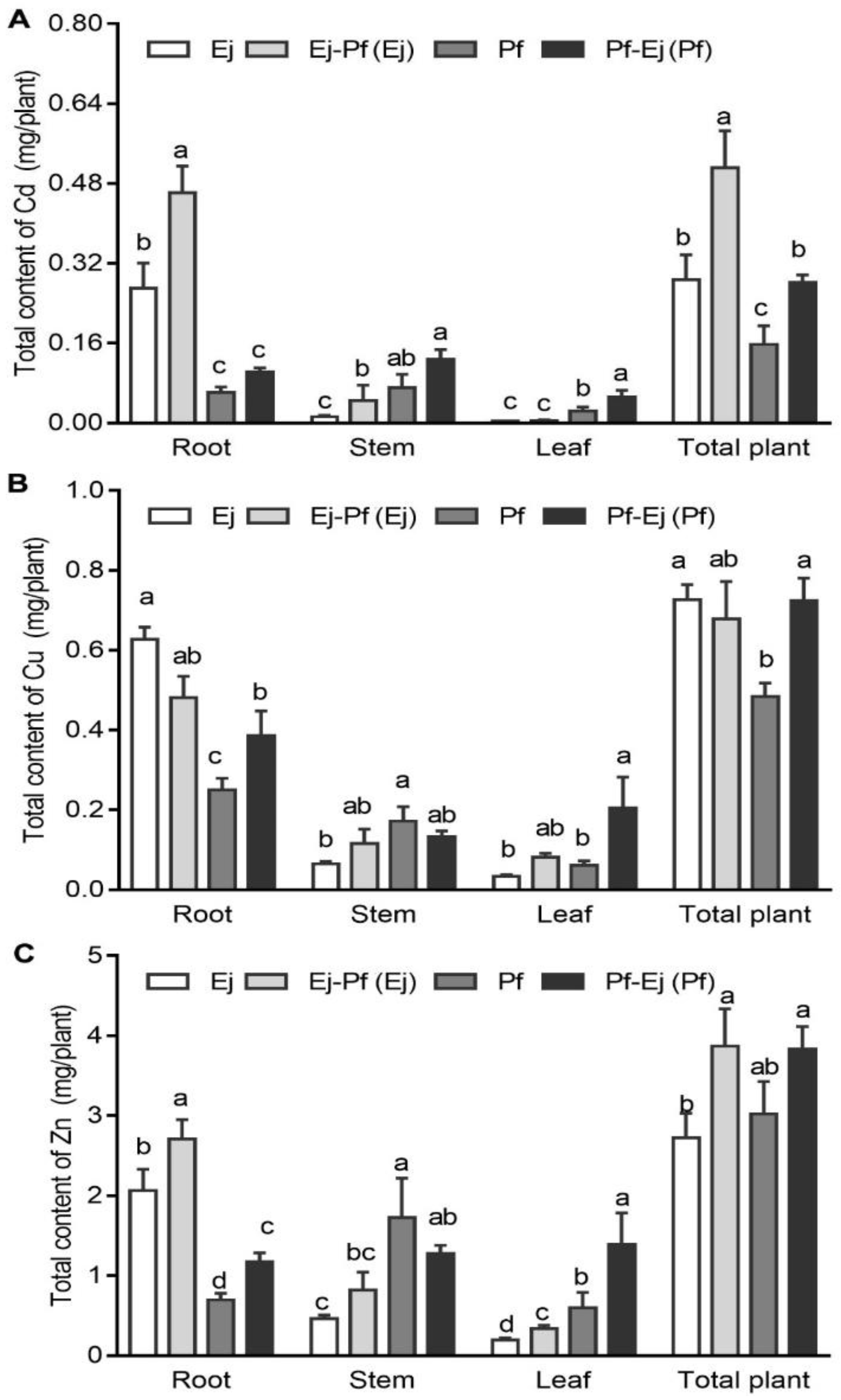 Biology 11 01133 g003