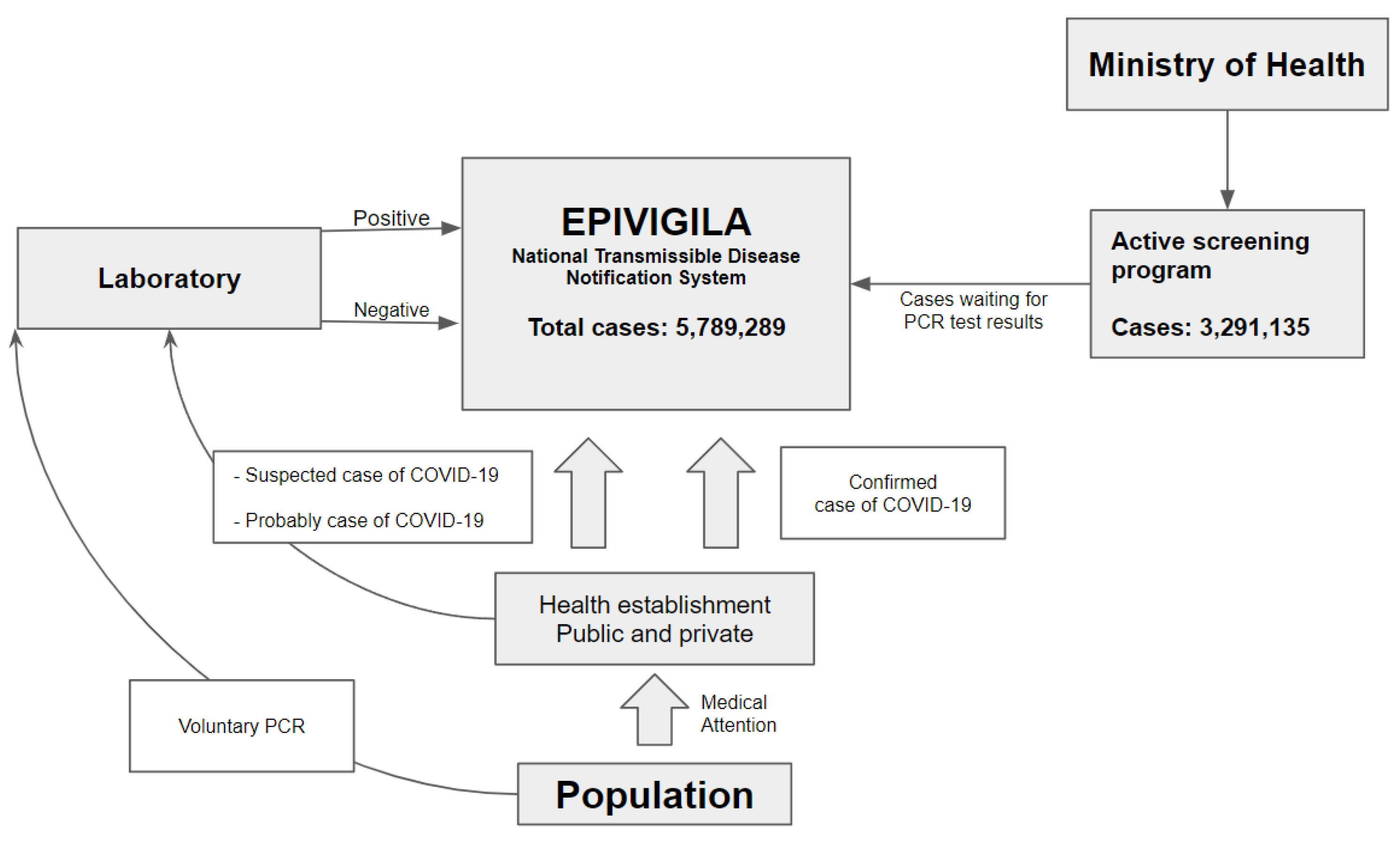 Biology 11 01136 g001 550