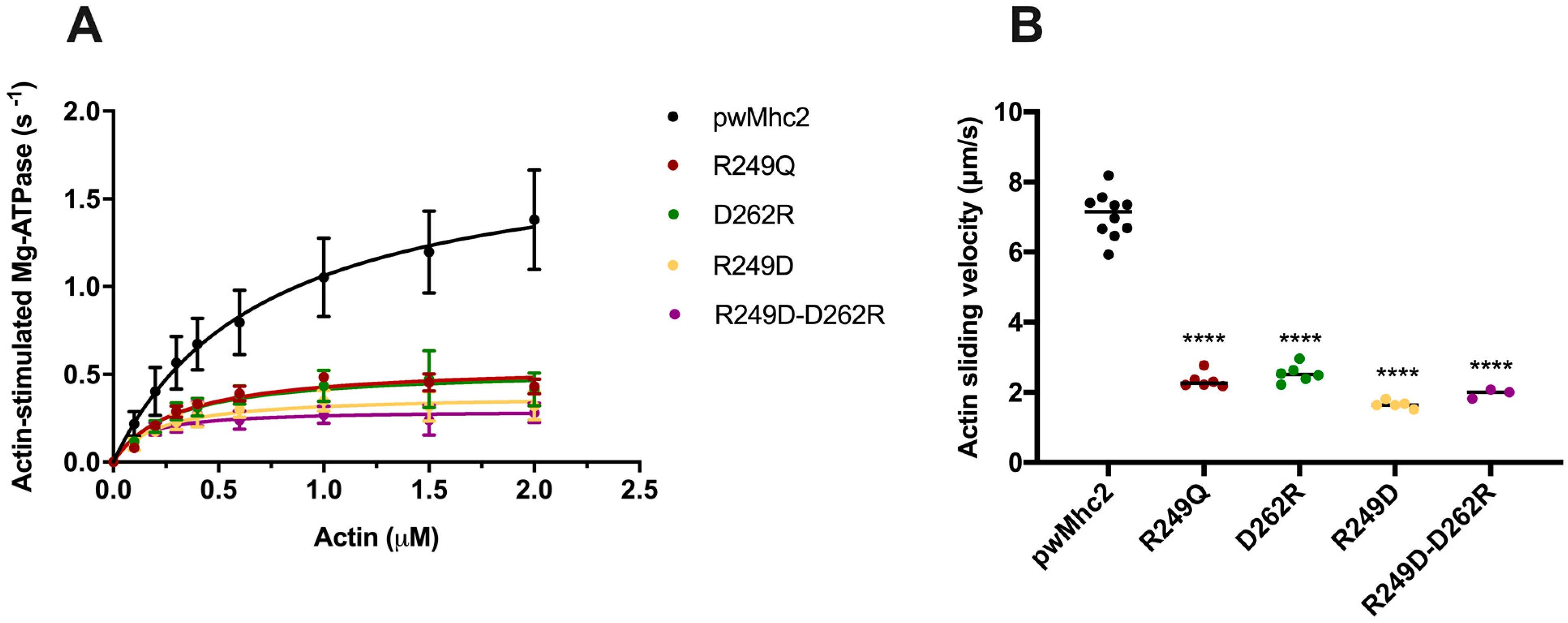 Biology 11 01137 g005 Biology 11 01137 g005