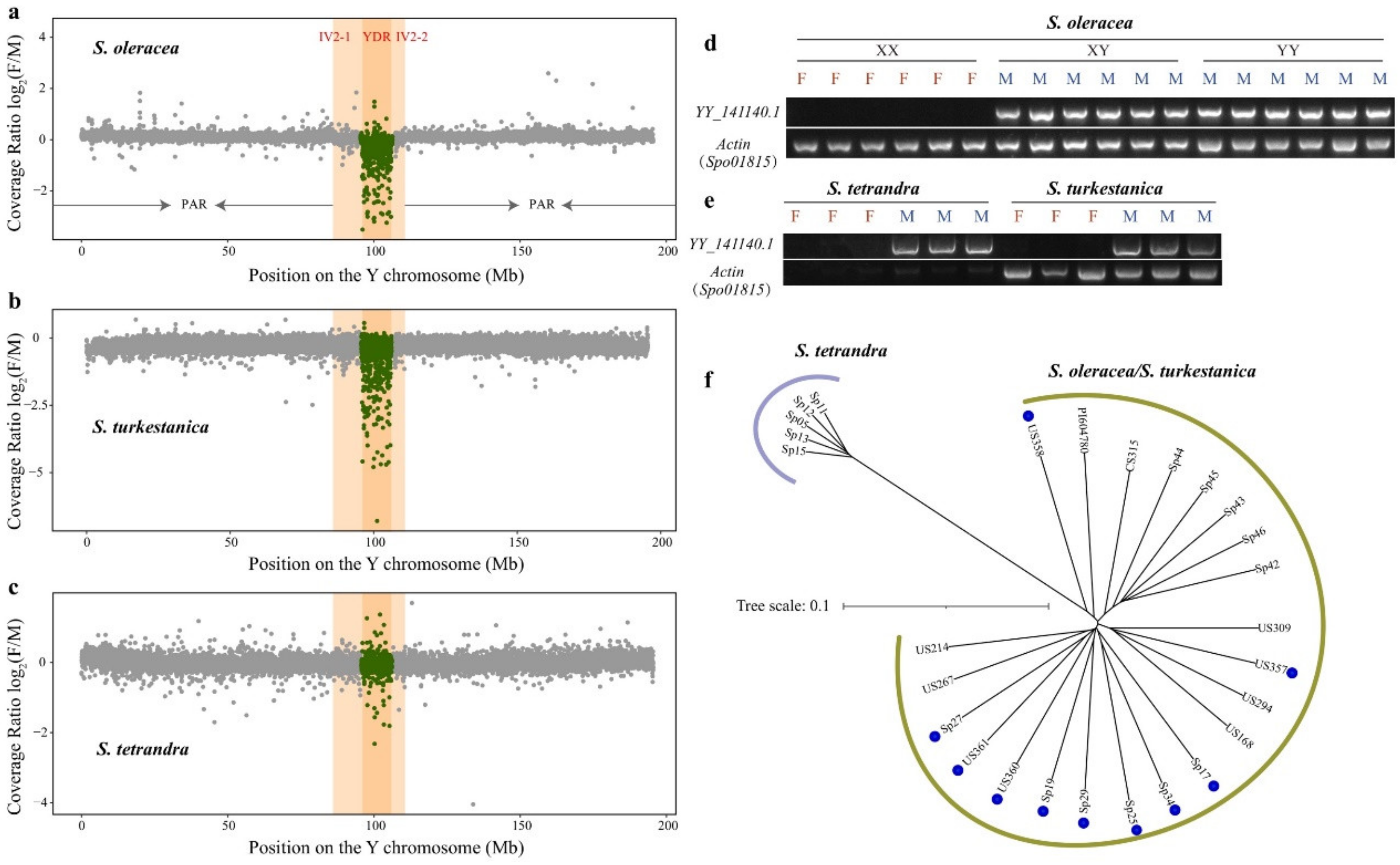 Biology 11 01138 g002