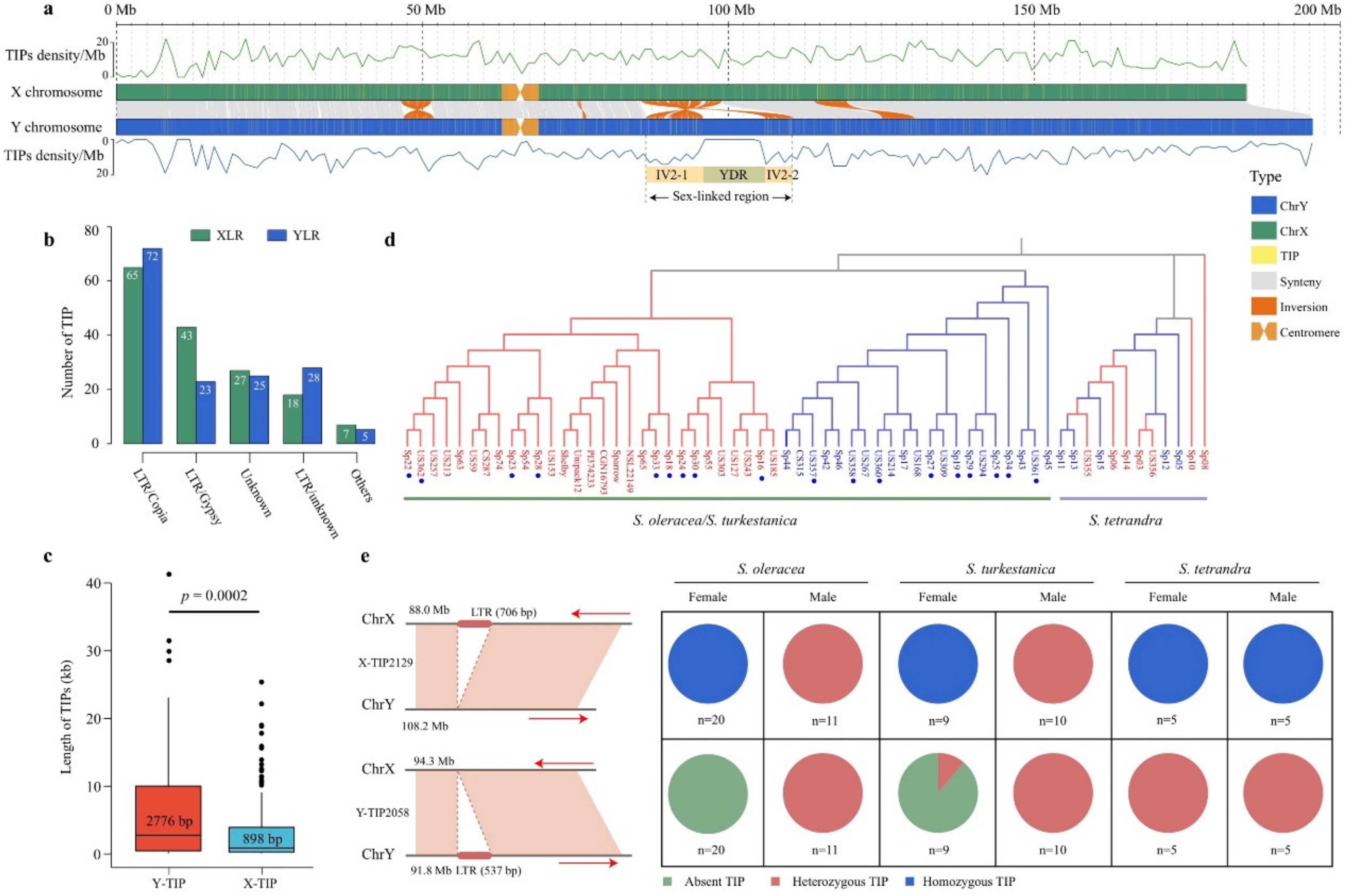 Biology 11 01138 g003