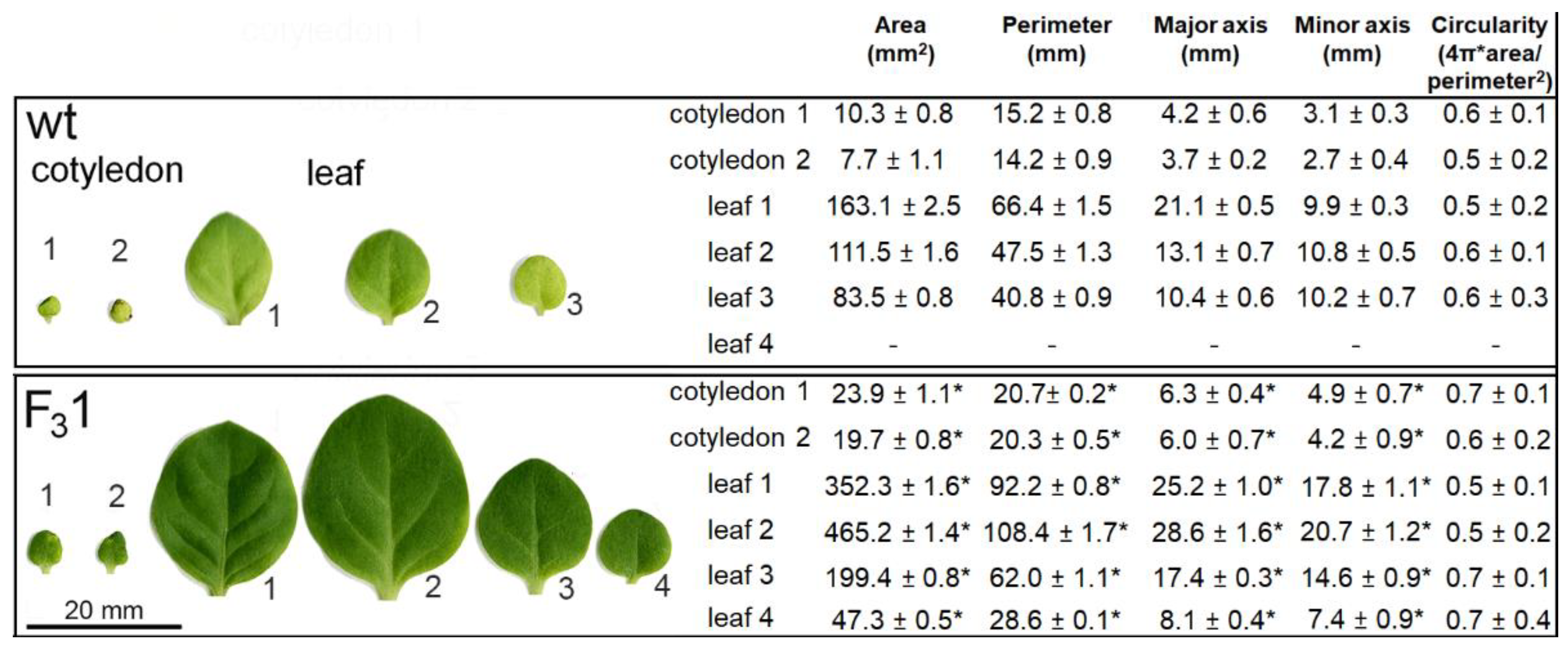Biology 11 01139 g005