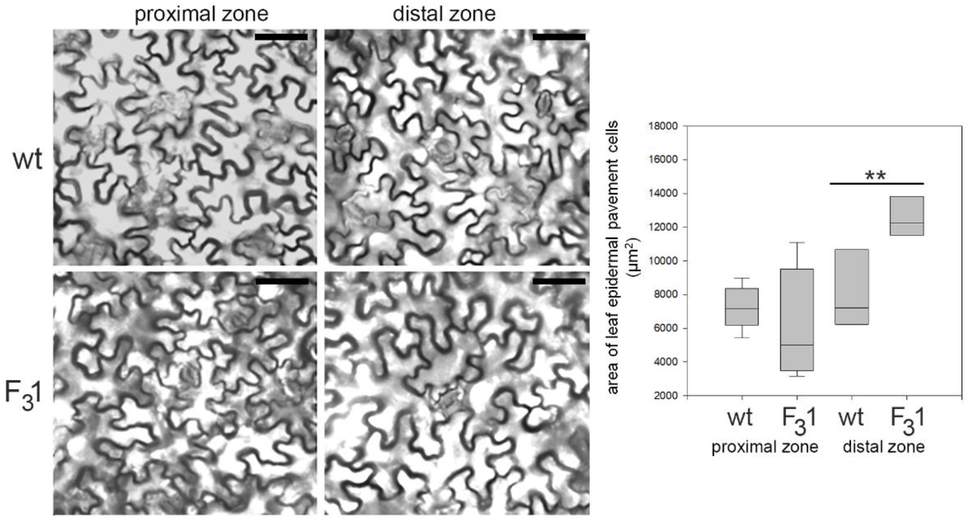 Biology 11 01139 g006