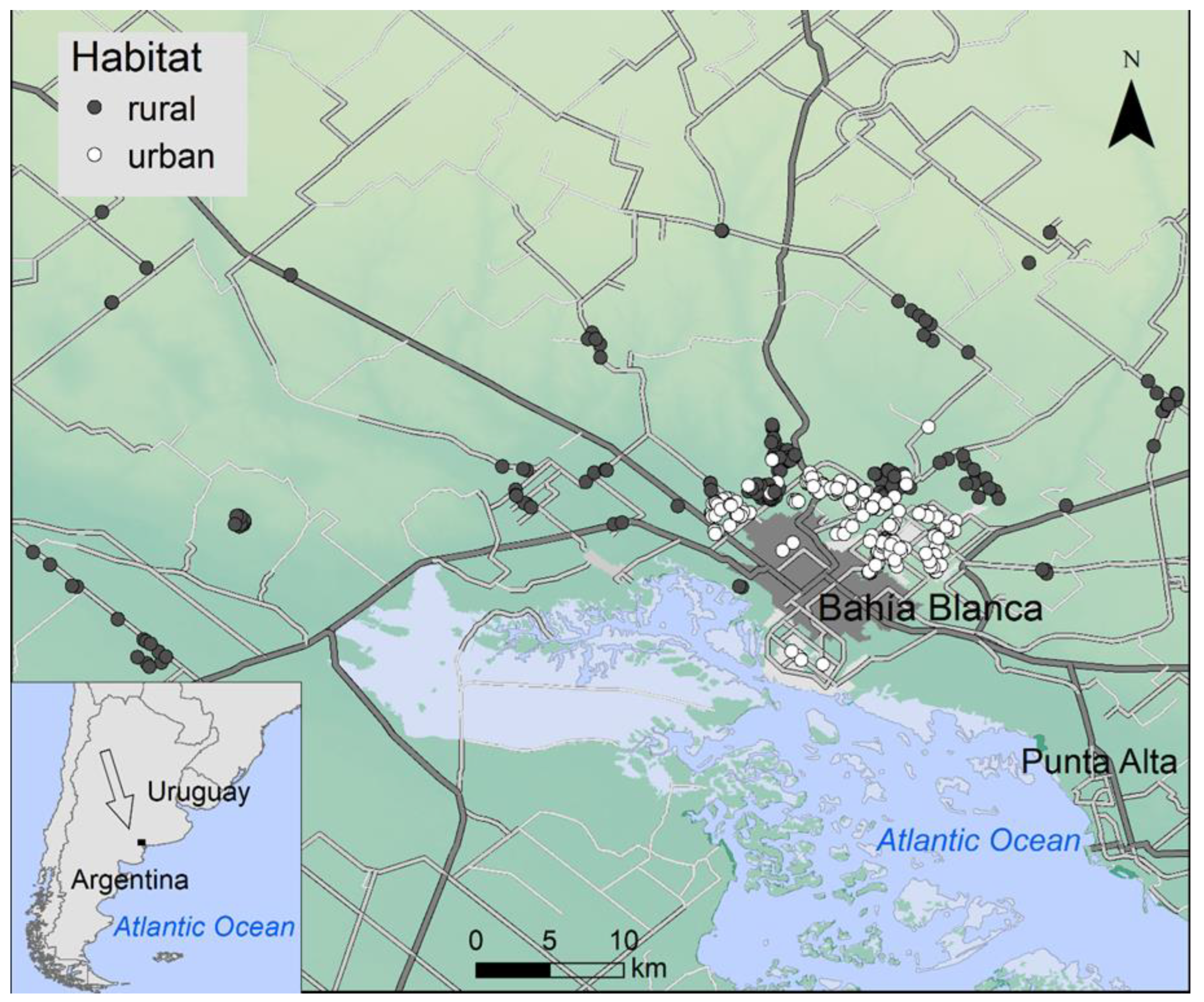 Biology 11 01141 g001 550