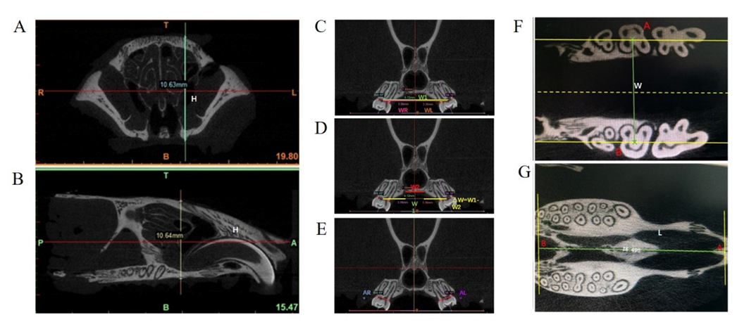 Biology 11 01142 g002