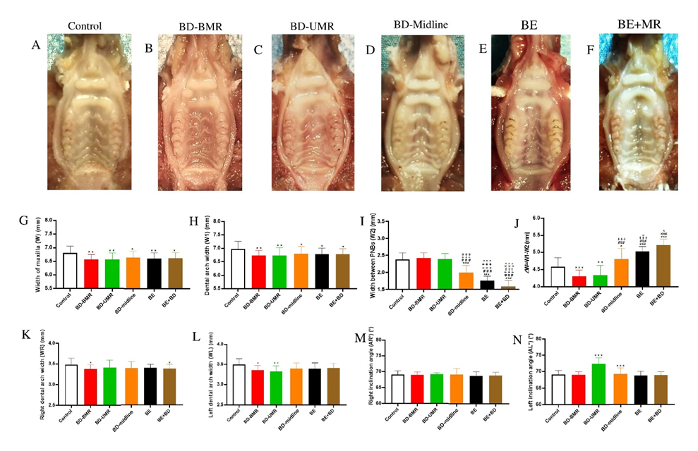 Biology 11 01142 g003