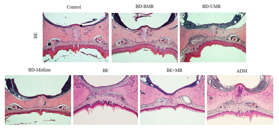Biology 11 01142 g005