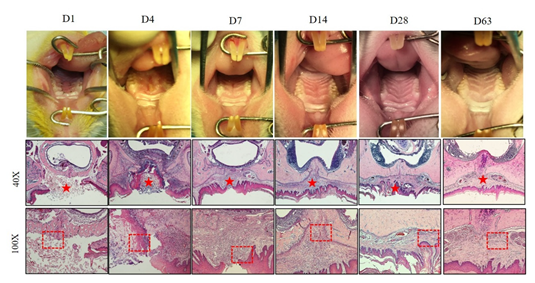 Biology 11 01142 g006