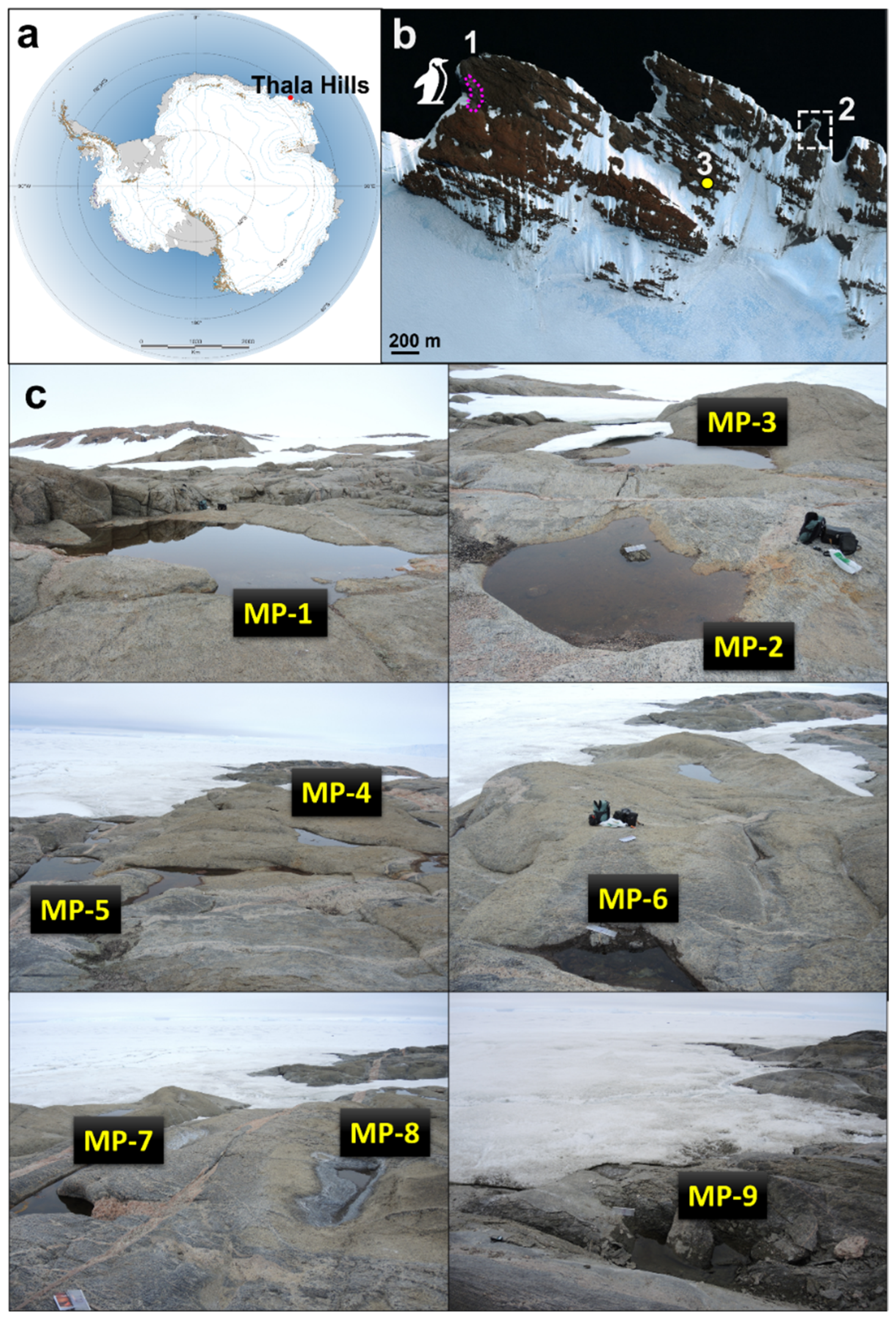 Biology 11 01143 g001 Biology 11 01143 g001