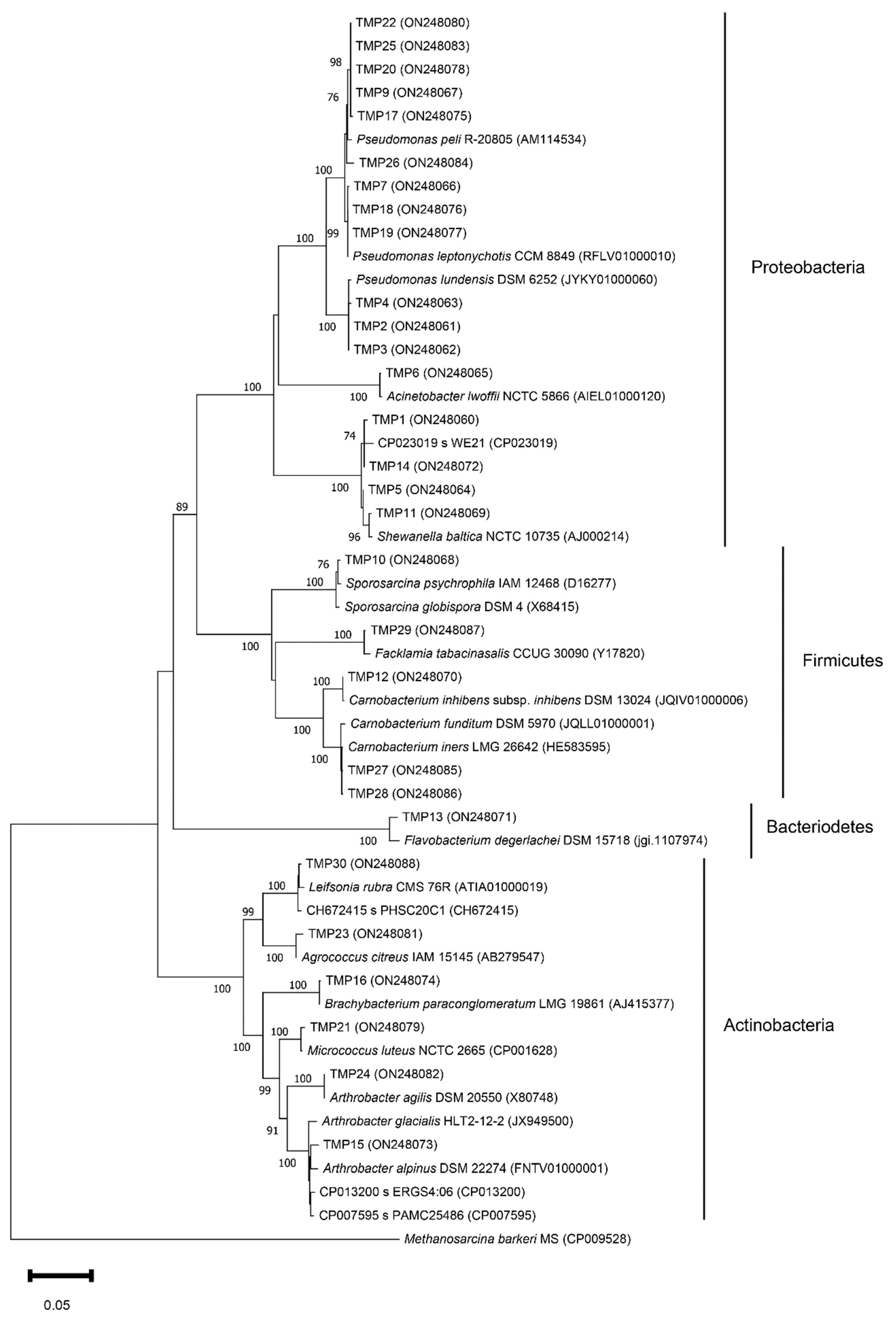 Biology 11 01143 g003 Biology 11 01143 g003