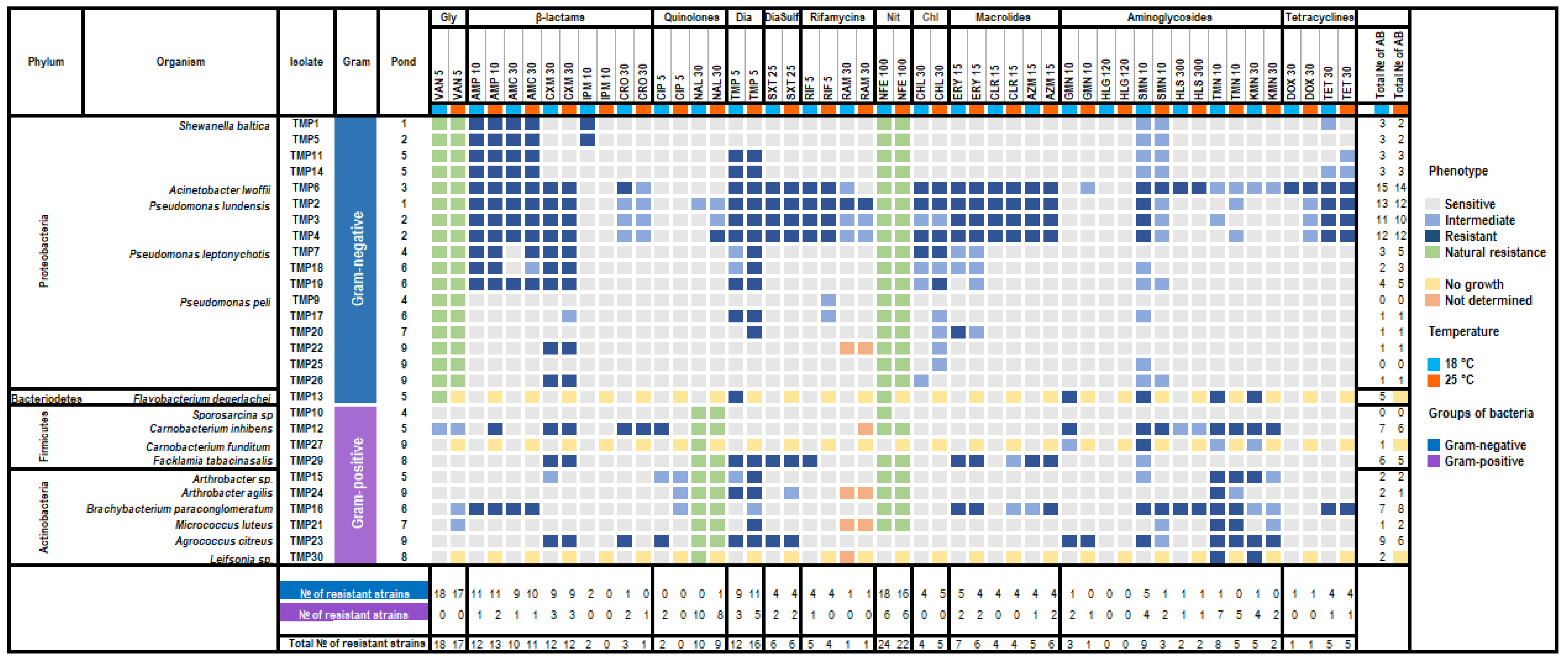 Biology 11 01143 g004 Biology 11 01143 g004