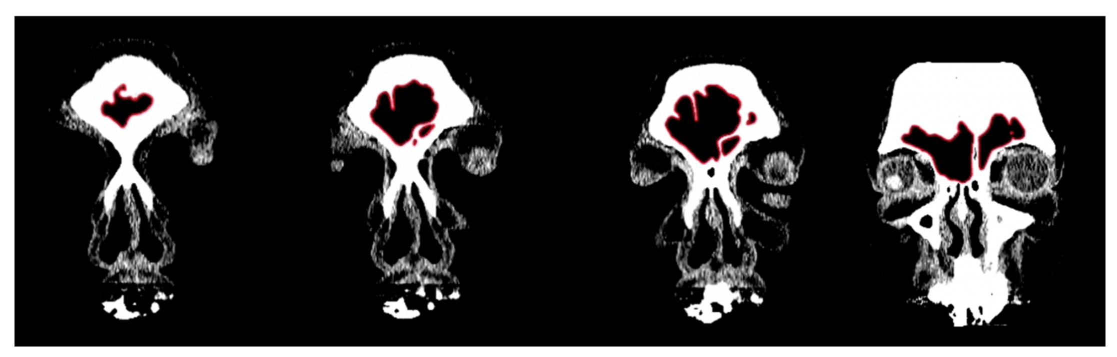 Biology 11 01145 g001