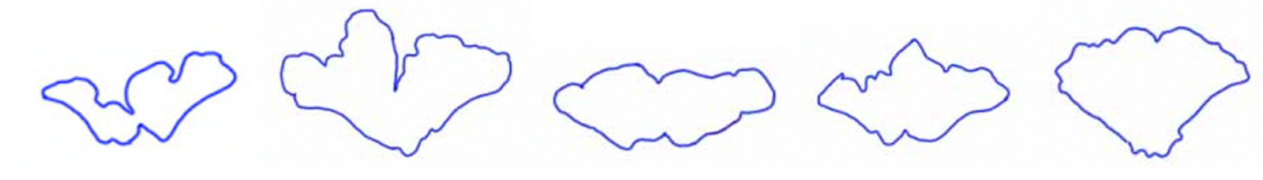 Biology 11 01145 g003