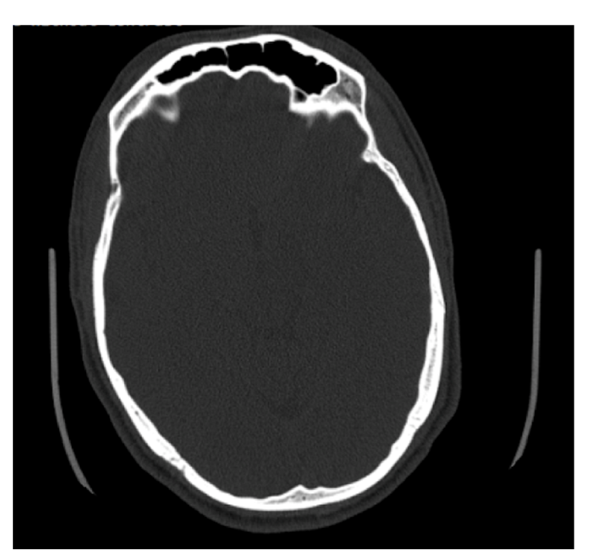 Biology 11 01145 g007