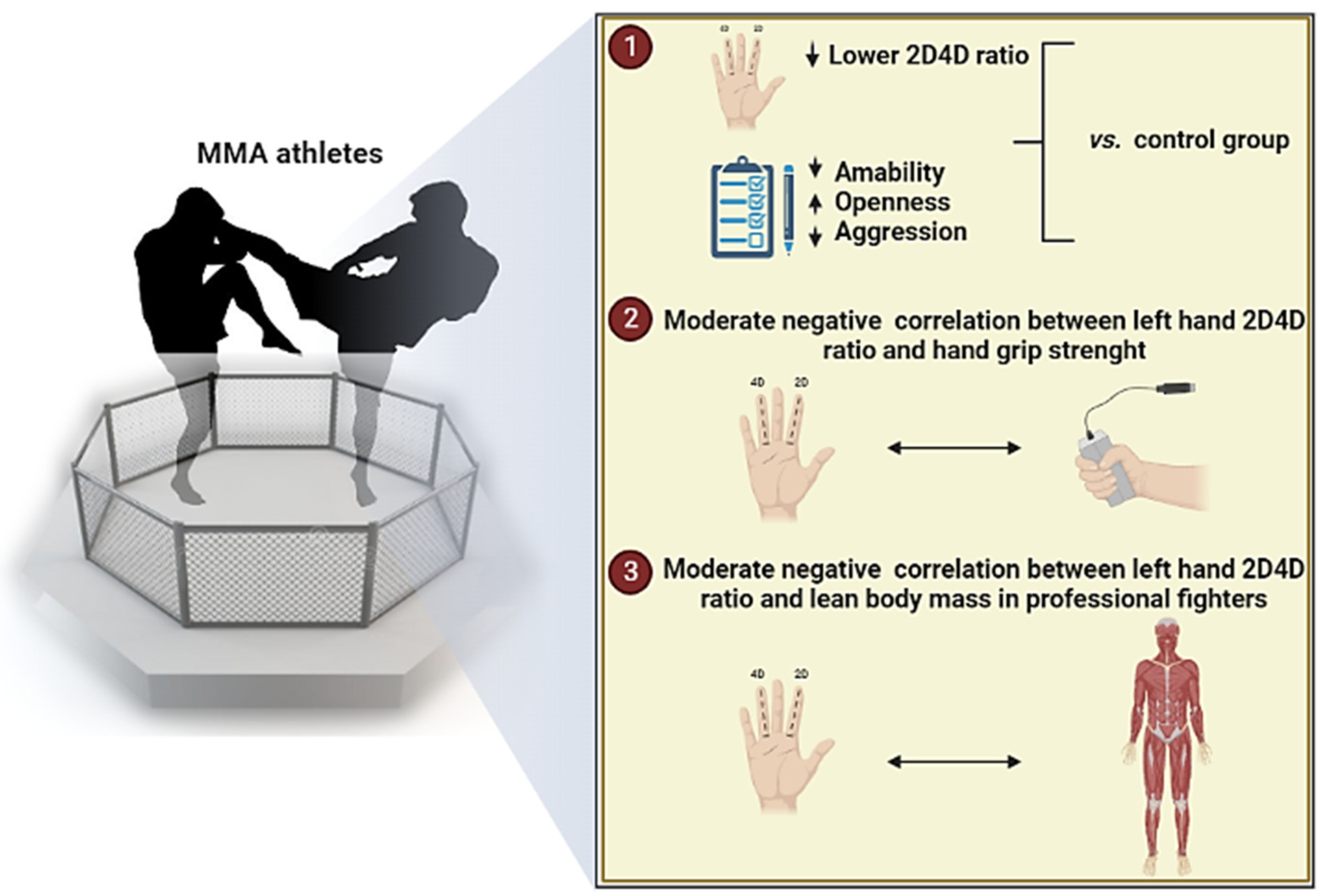 Biology 11 01147 g006 Biology 11 01147 g006