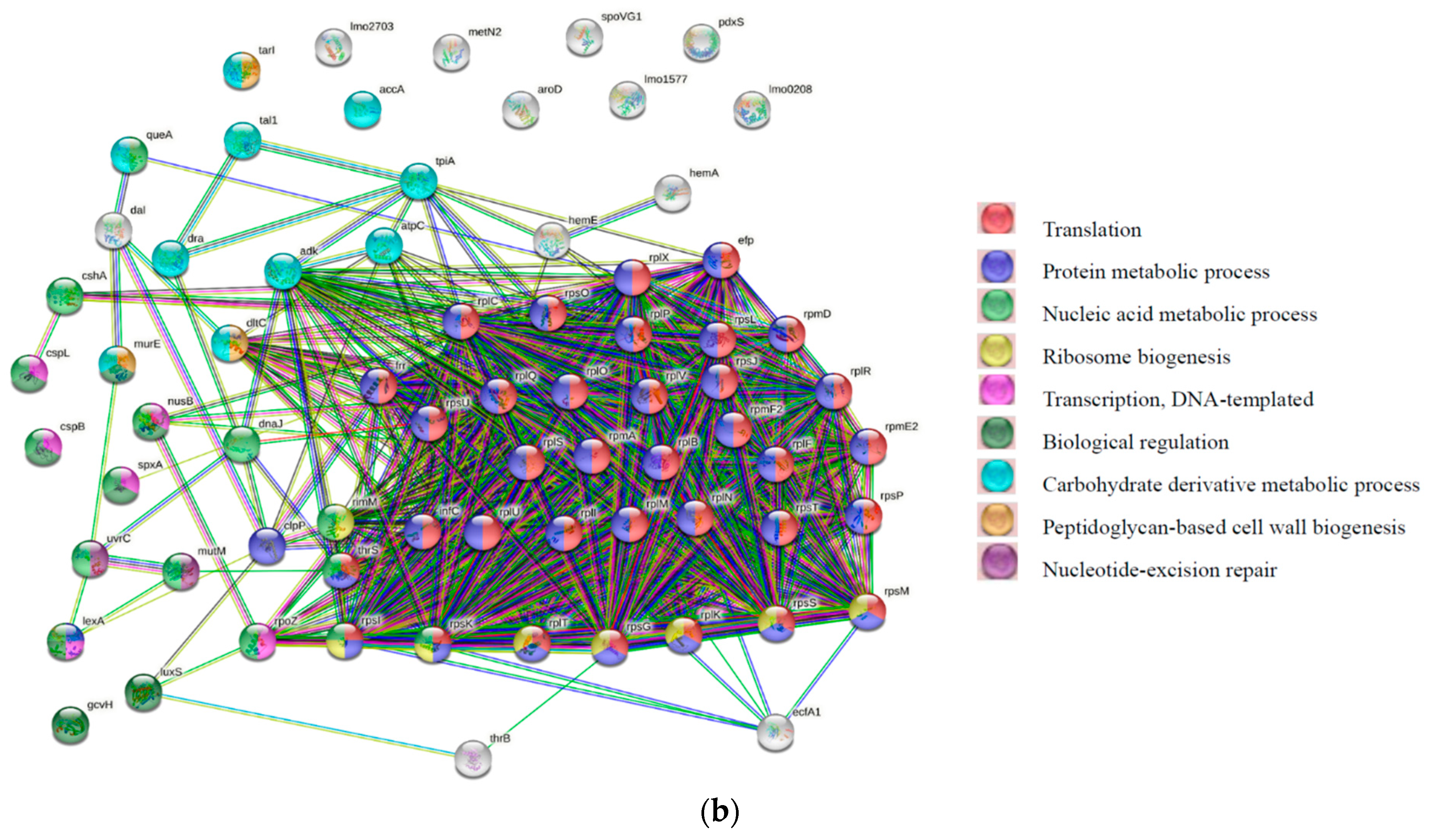 Biology 11 01152 g003b