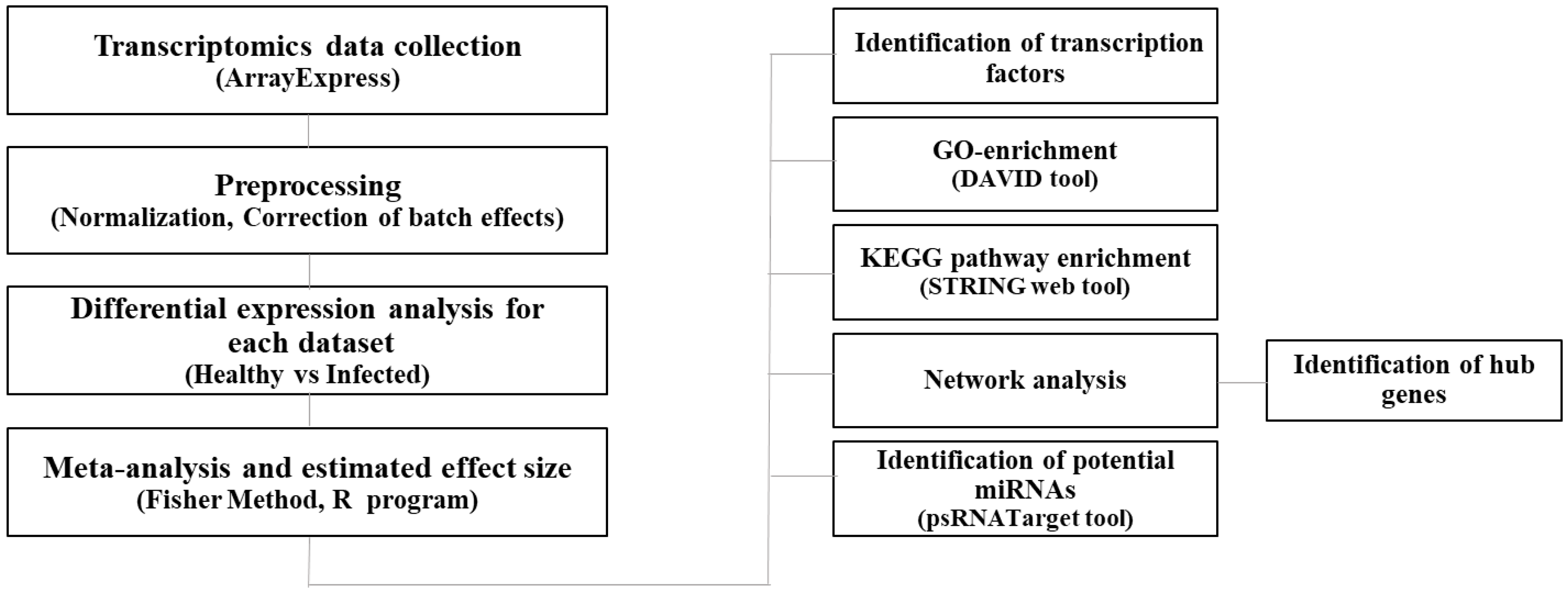 Biology 11 01155 g001 Biology 11 01155 g001