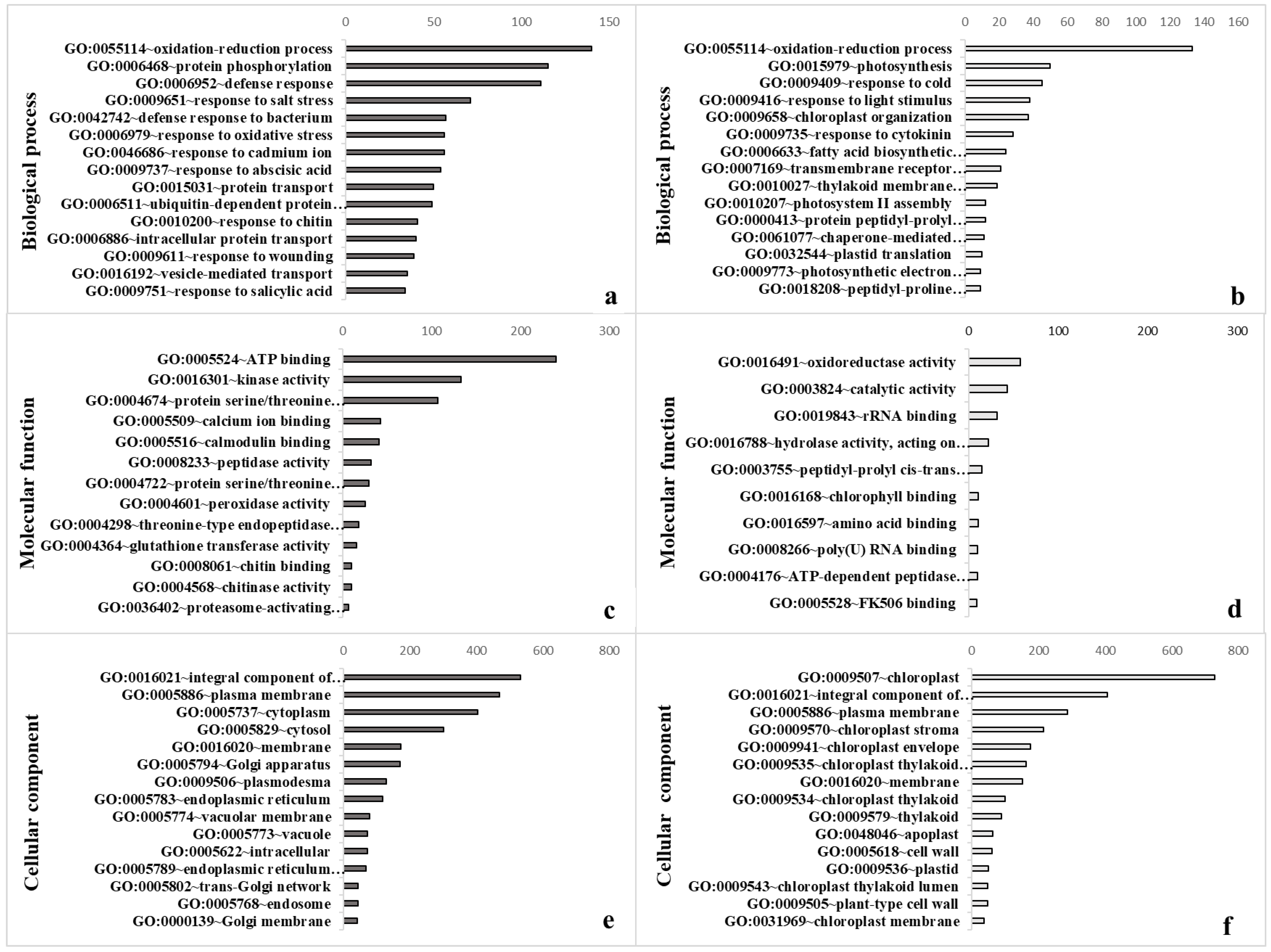 Biology 11 01155 g002 Biology 11 01155 g002