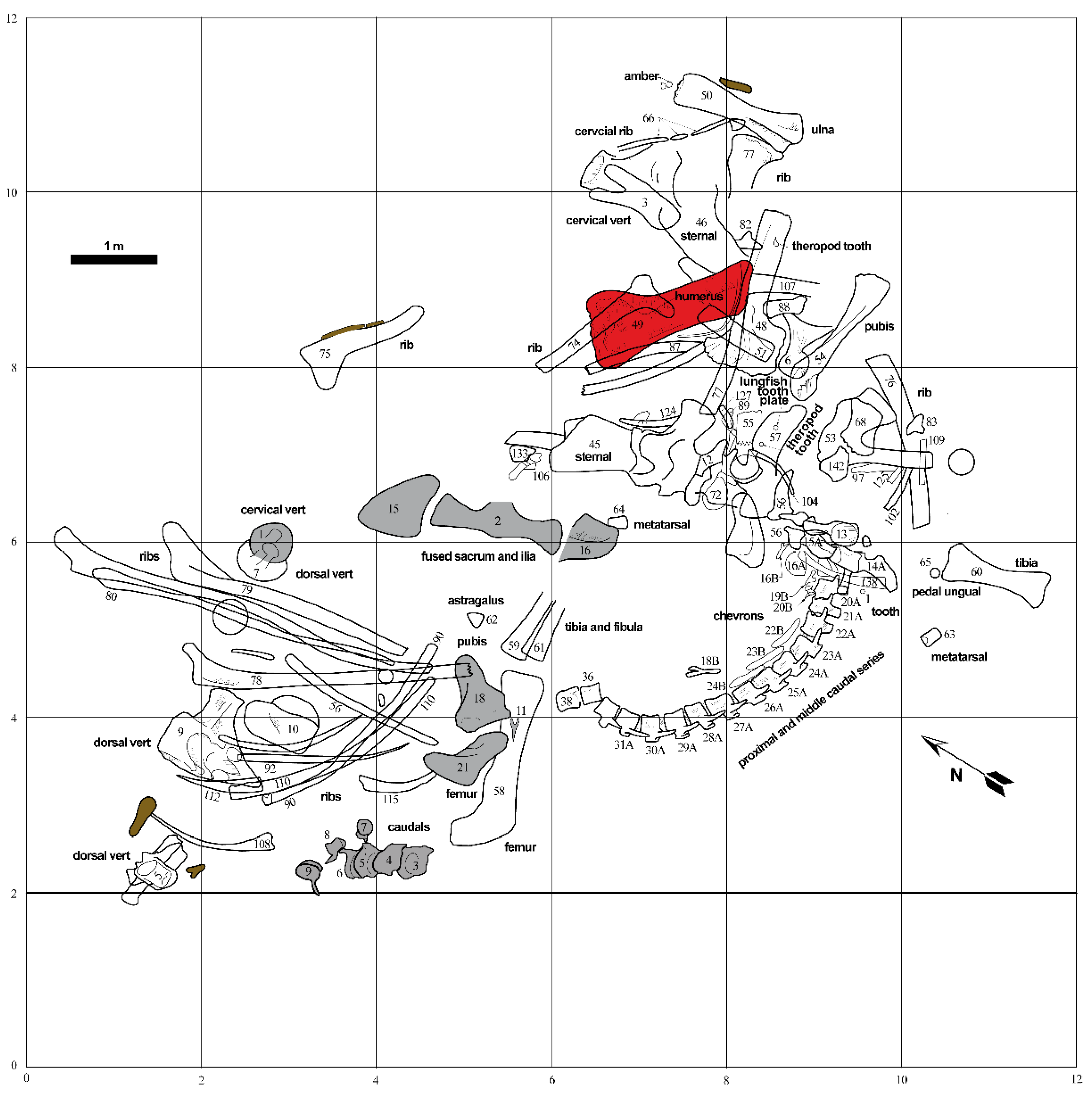 Biology 11 01158 g002