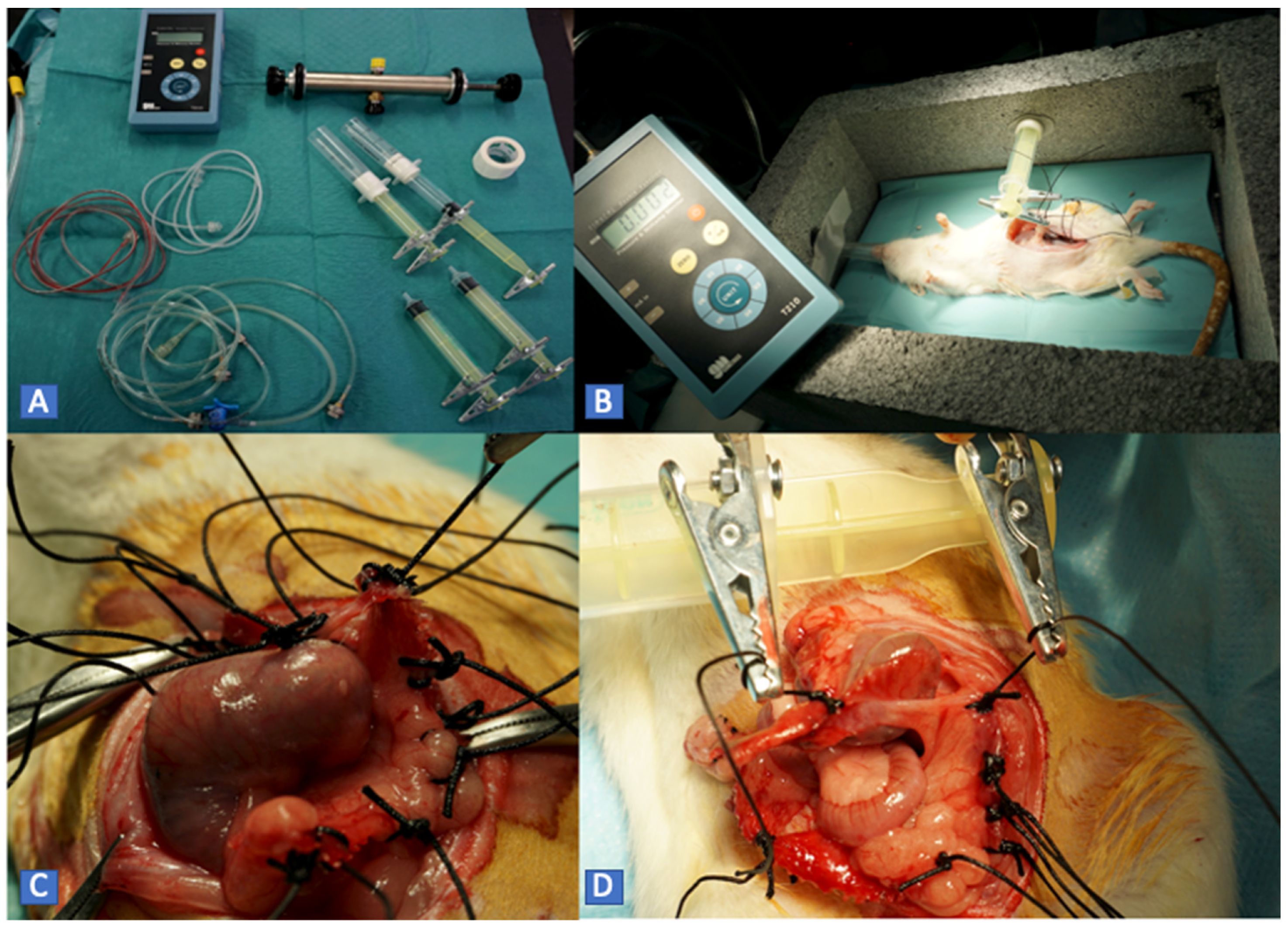 Biology 11 01159 g003 550