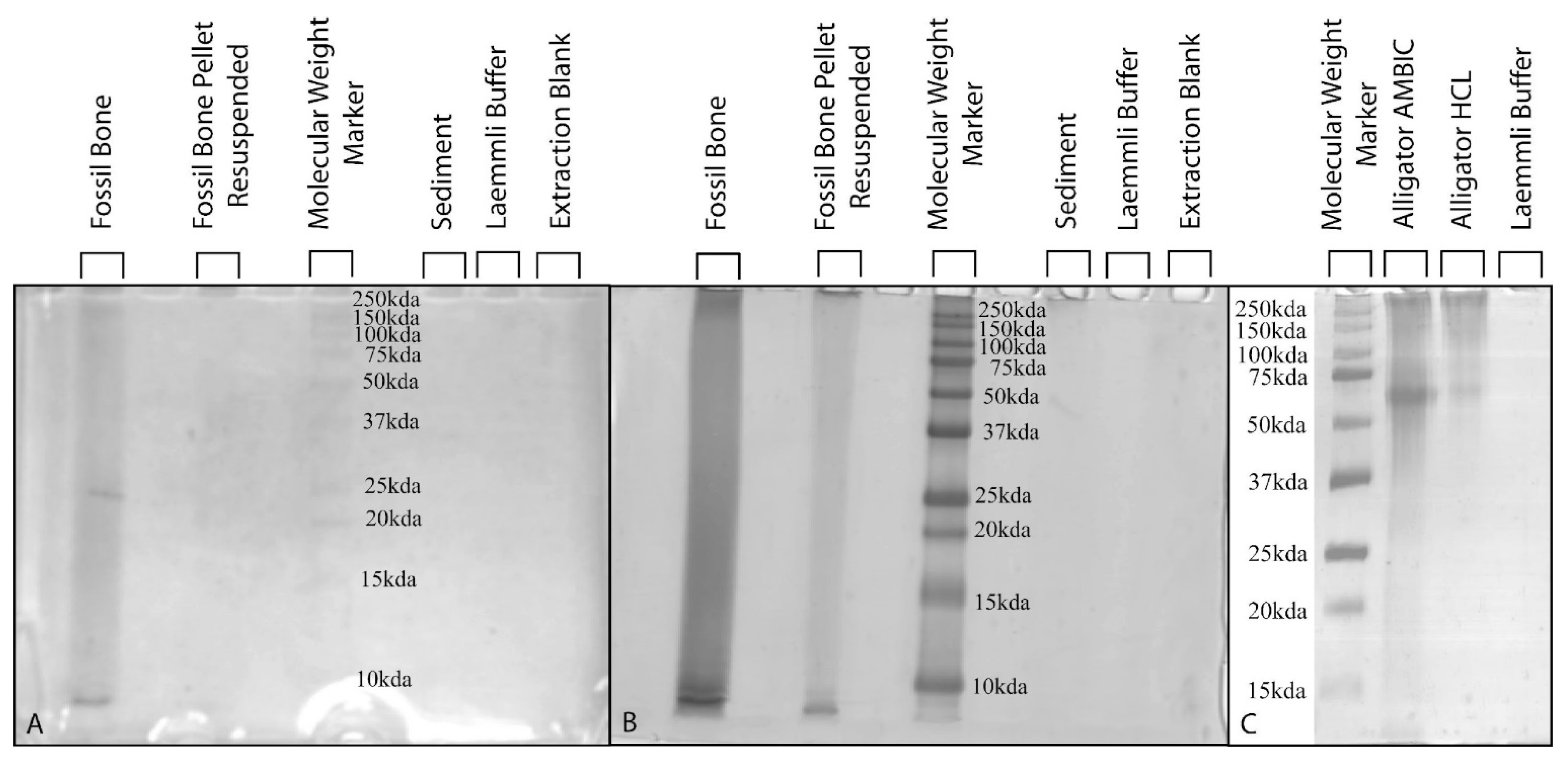 Biology 11 01161 g005