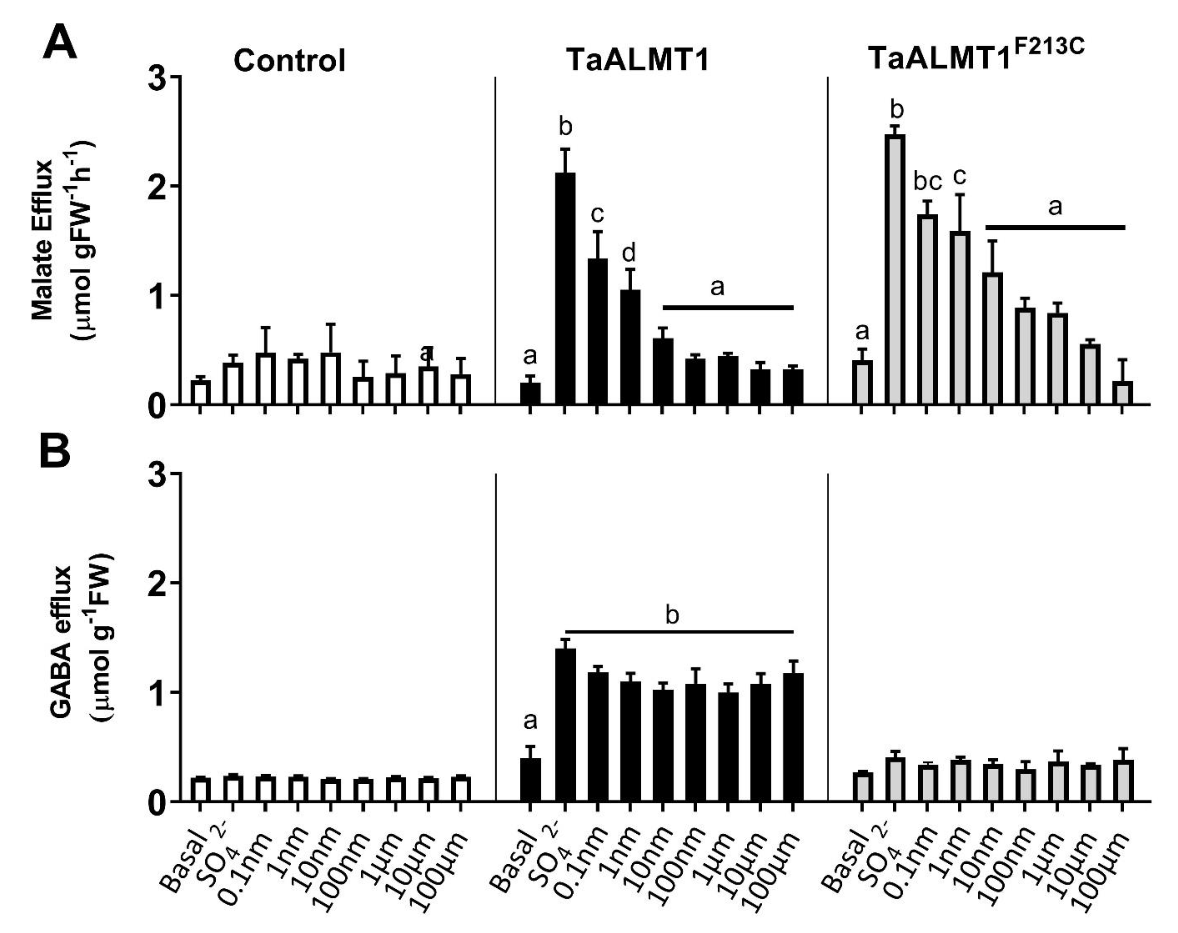 Biology 11 01162 g003 Biology 11 01162 g003