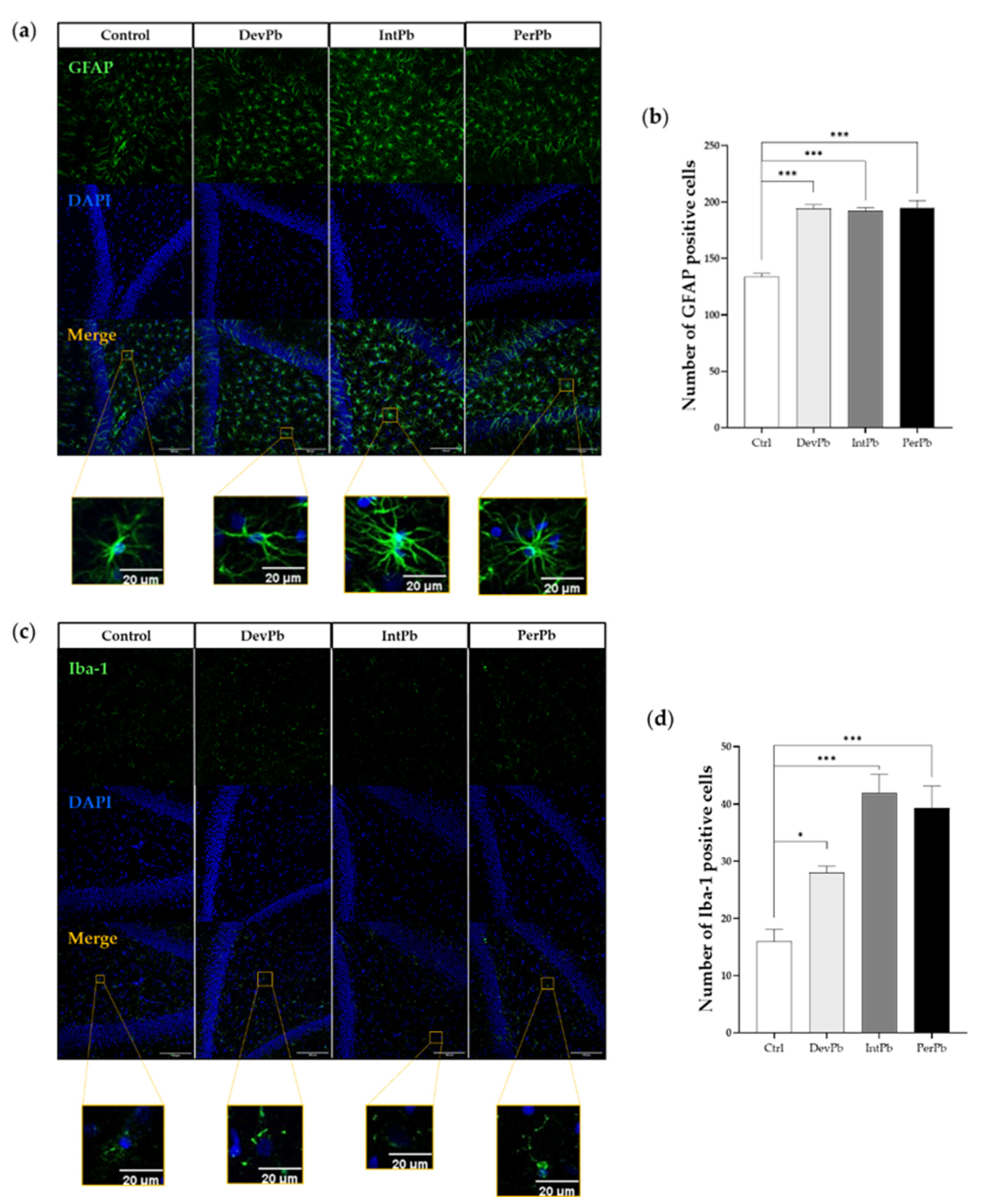 Biology 11 01164 g003 Biology 11 01164 g003
