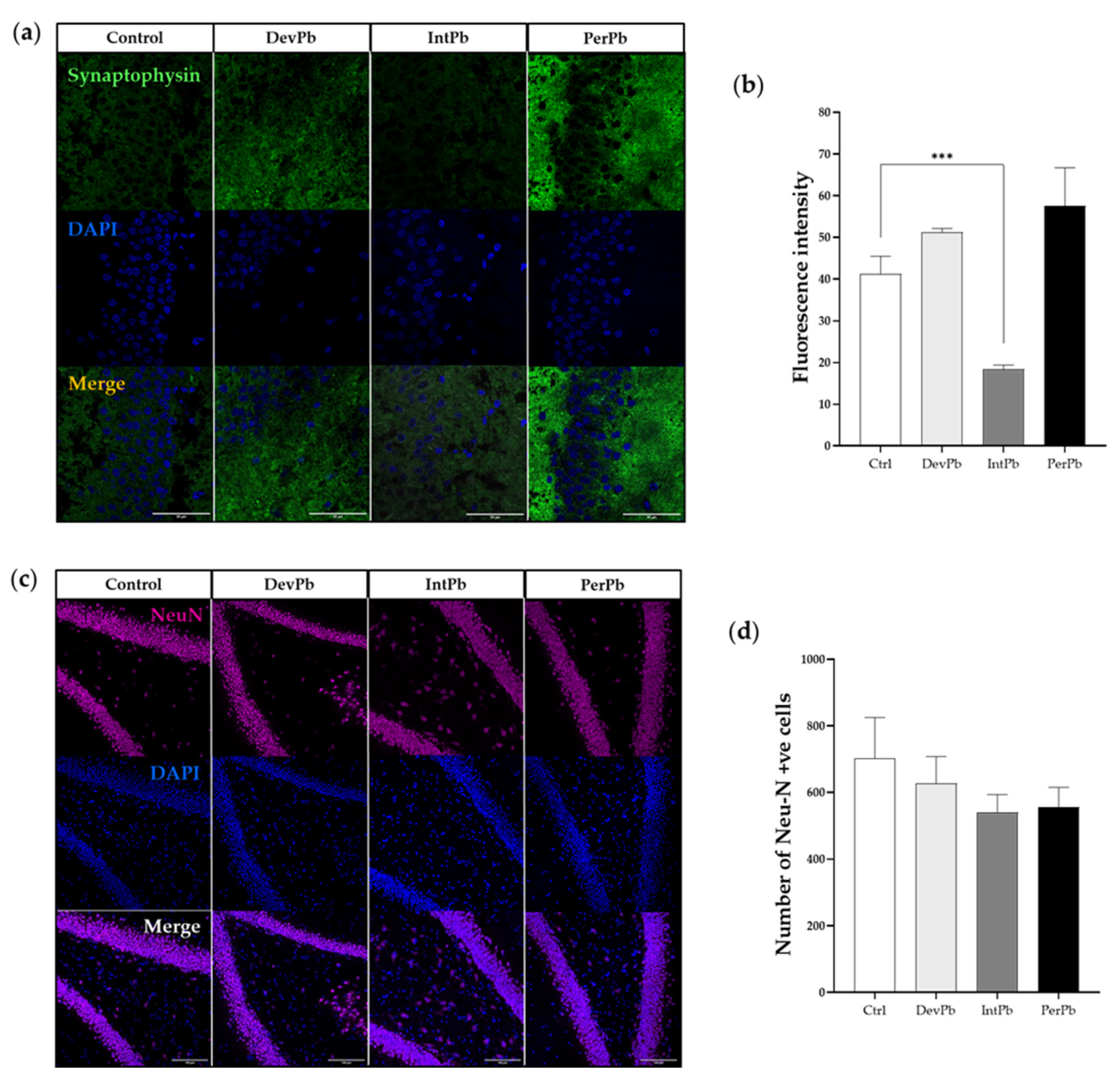 Biology 11 01164 g004 Biology 11 01164 g004