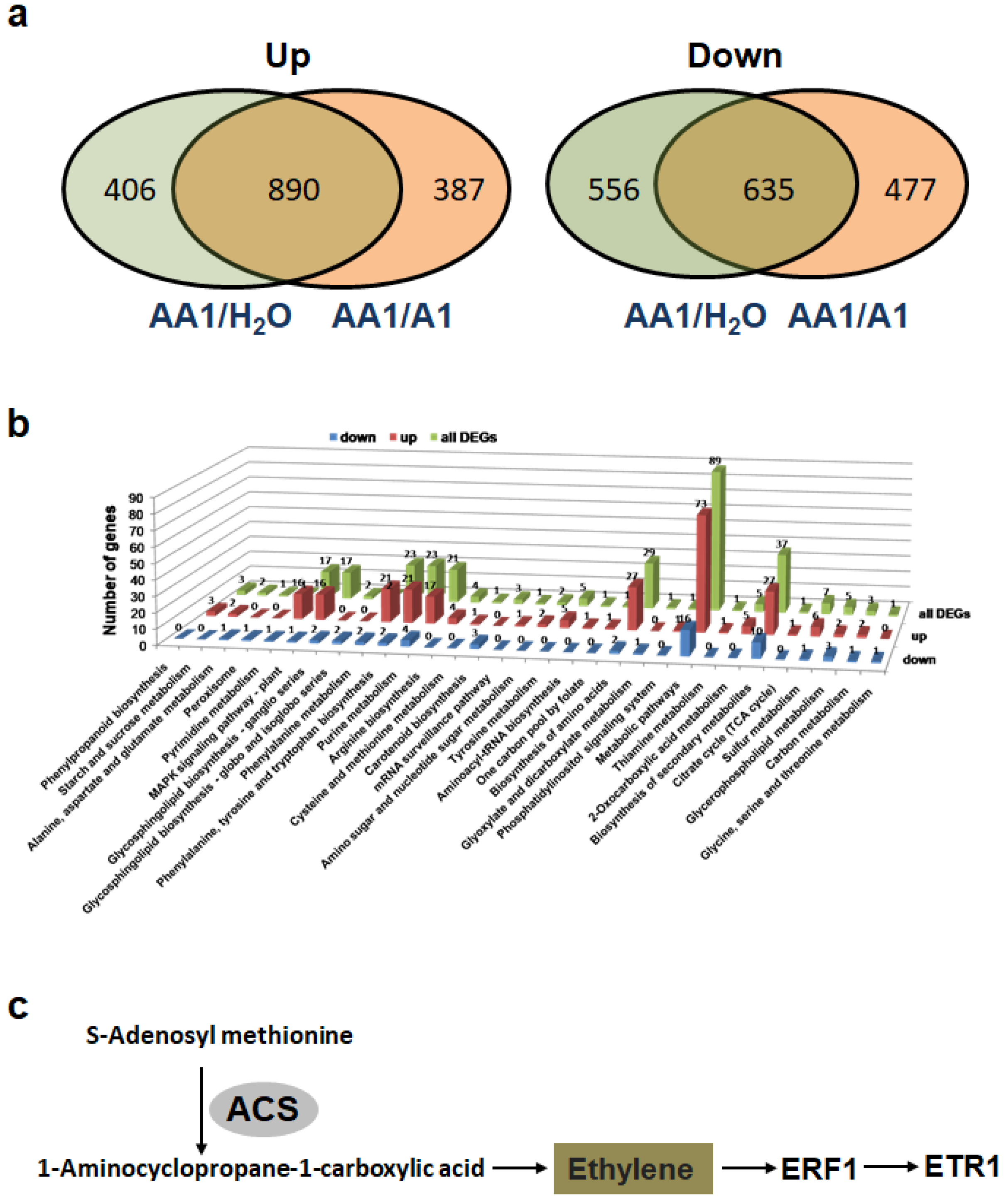 Biology 11 01170 g005 Biology 11 01170 g005