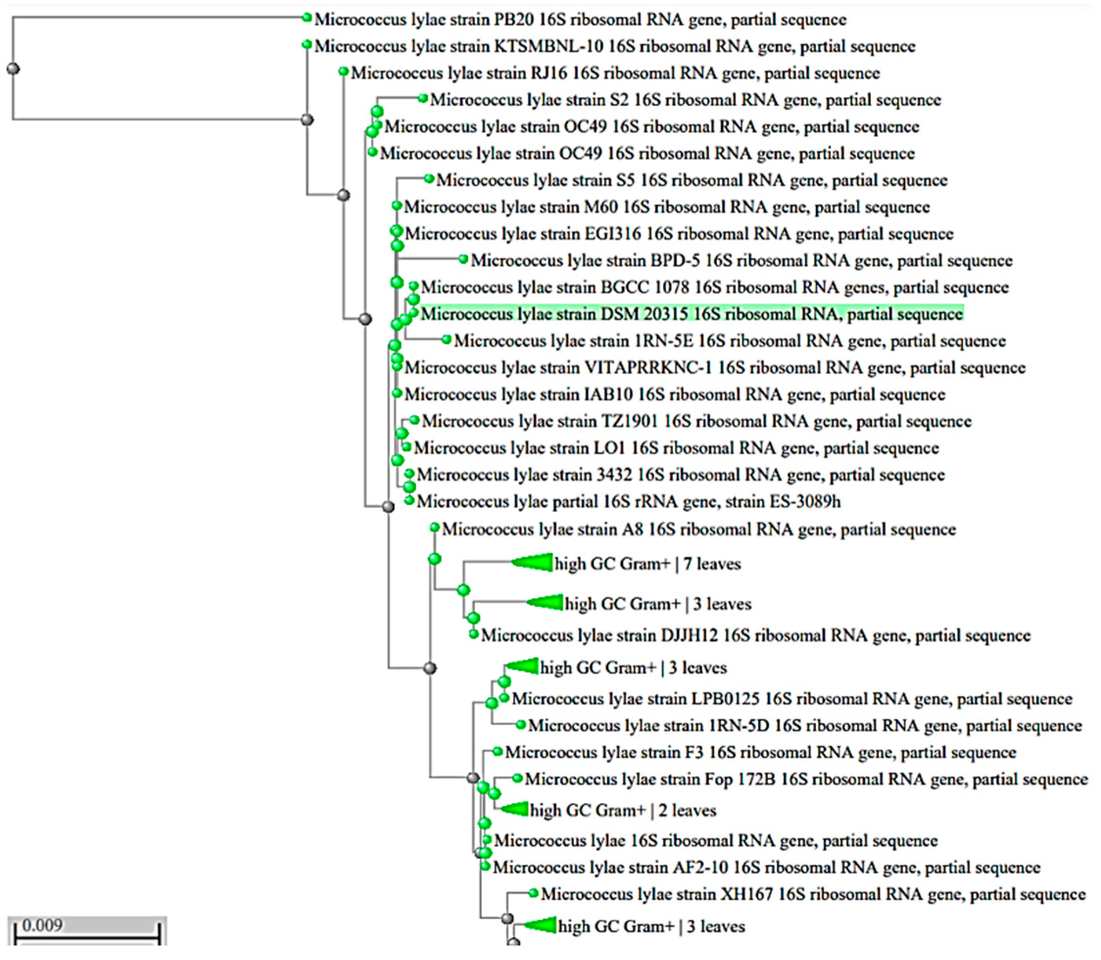 Biology 11 01171 g001 550