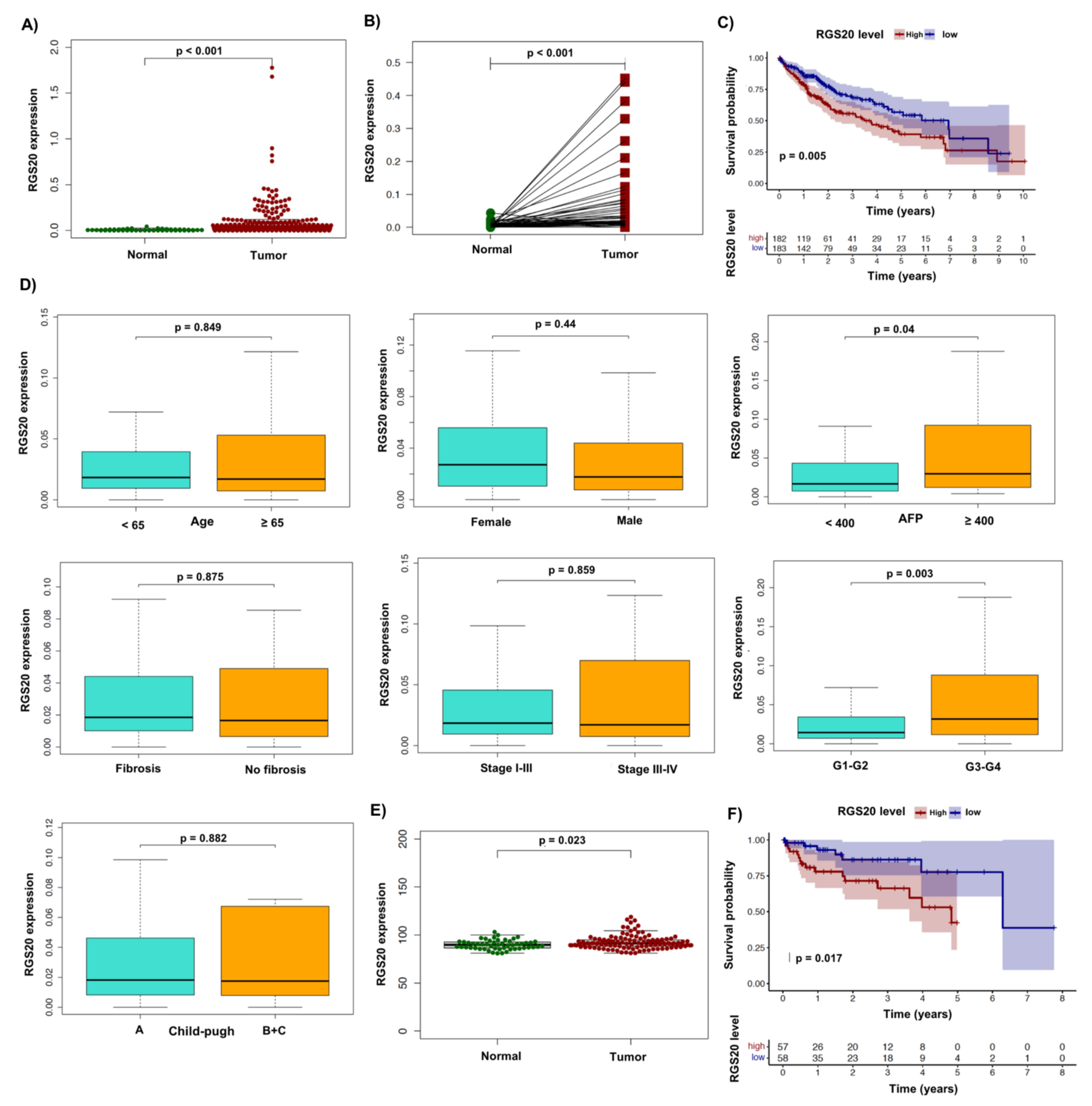 Biology 11 01174 g001