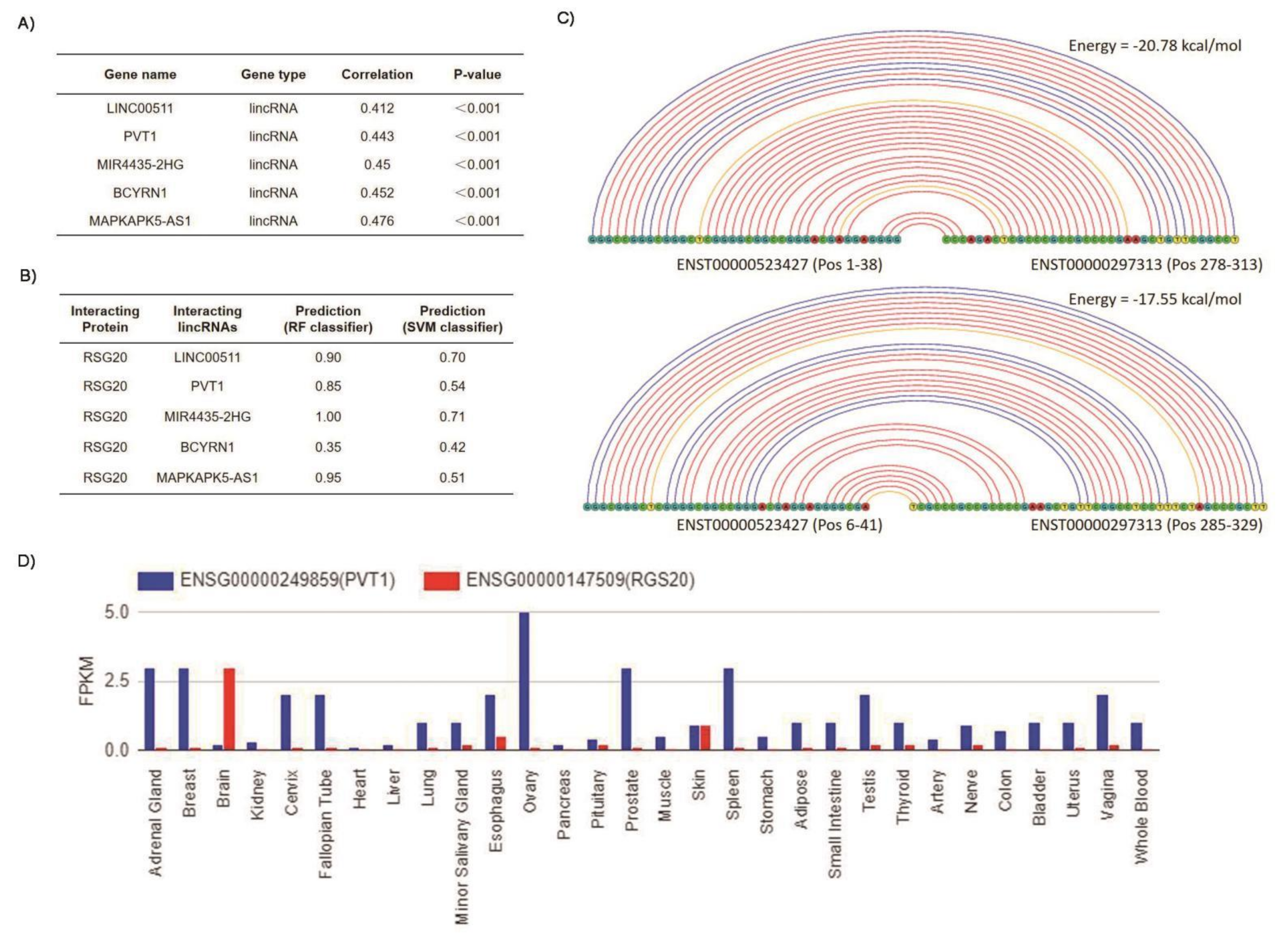 Biology 11 01174 g004