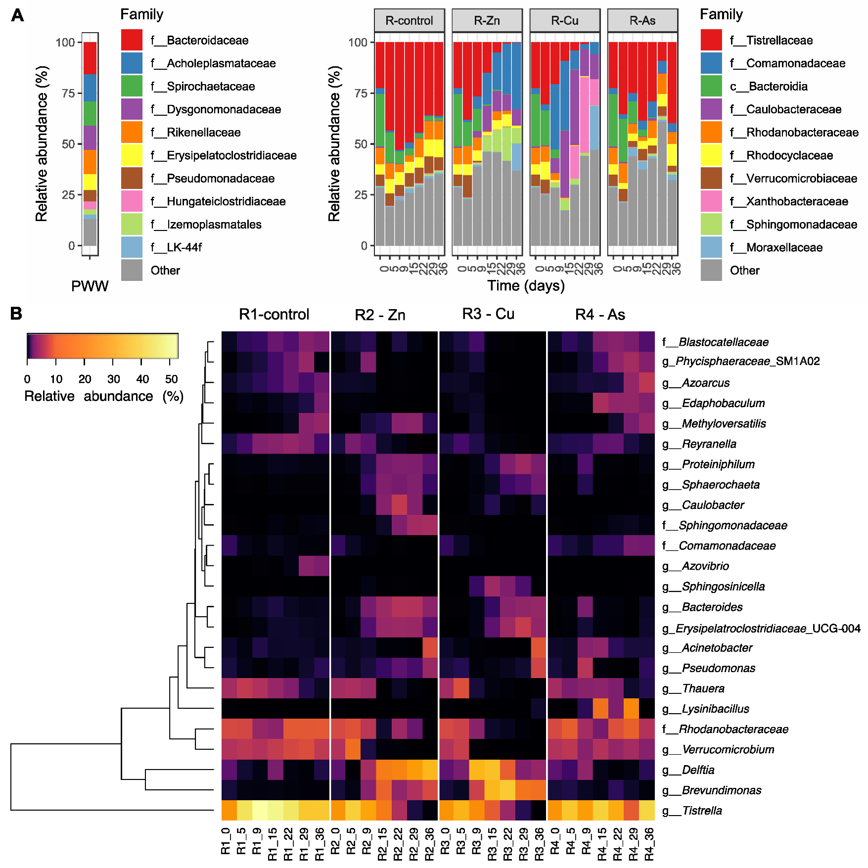 Biology 11 01176 g004