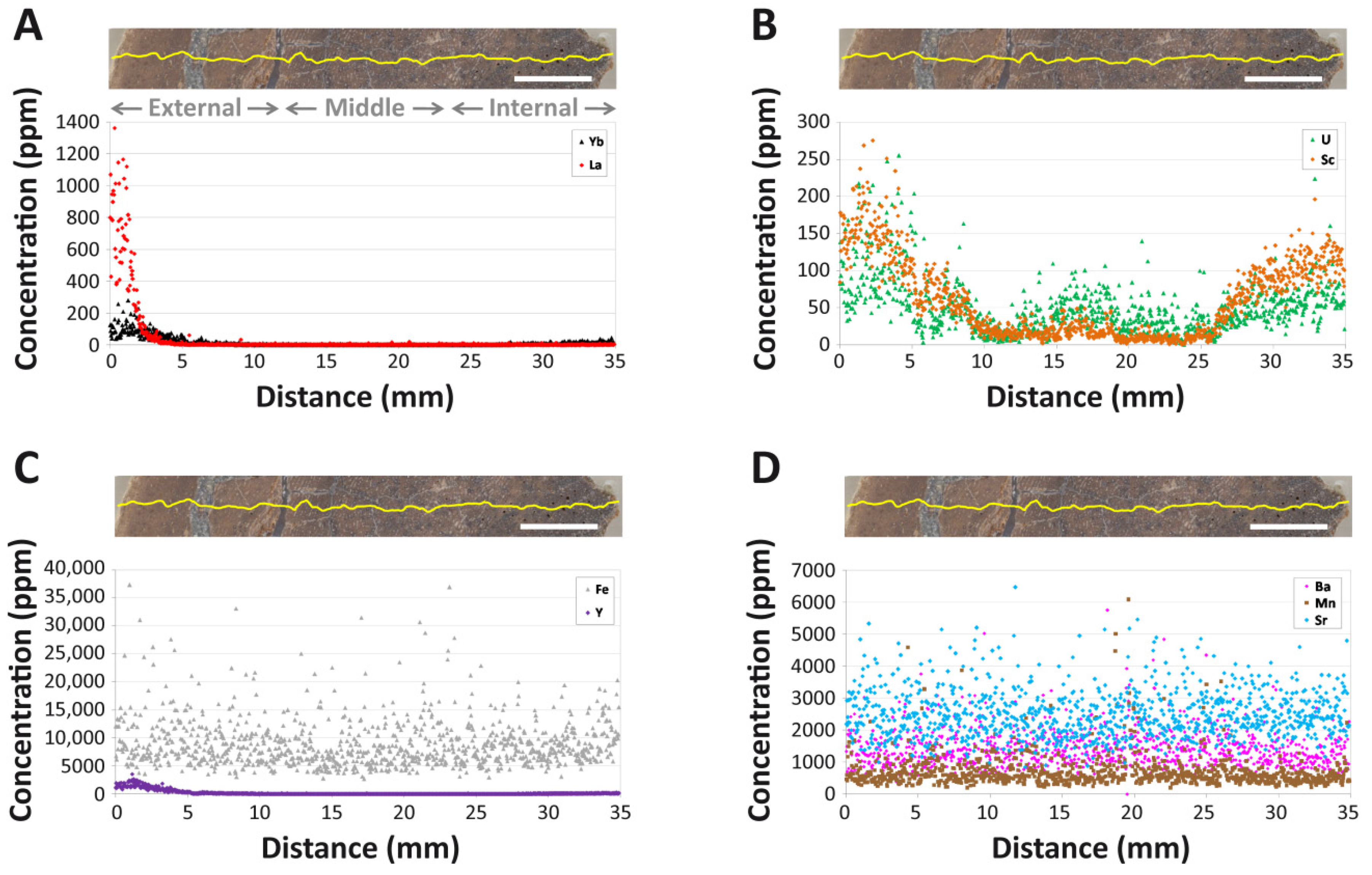 Biology 11 01177 g002