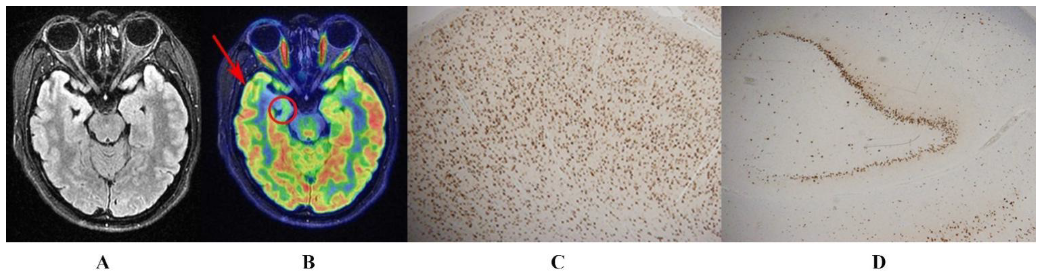 Biology 11 01178 g001