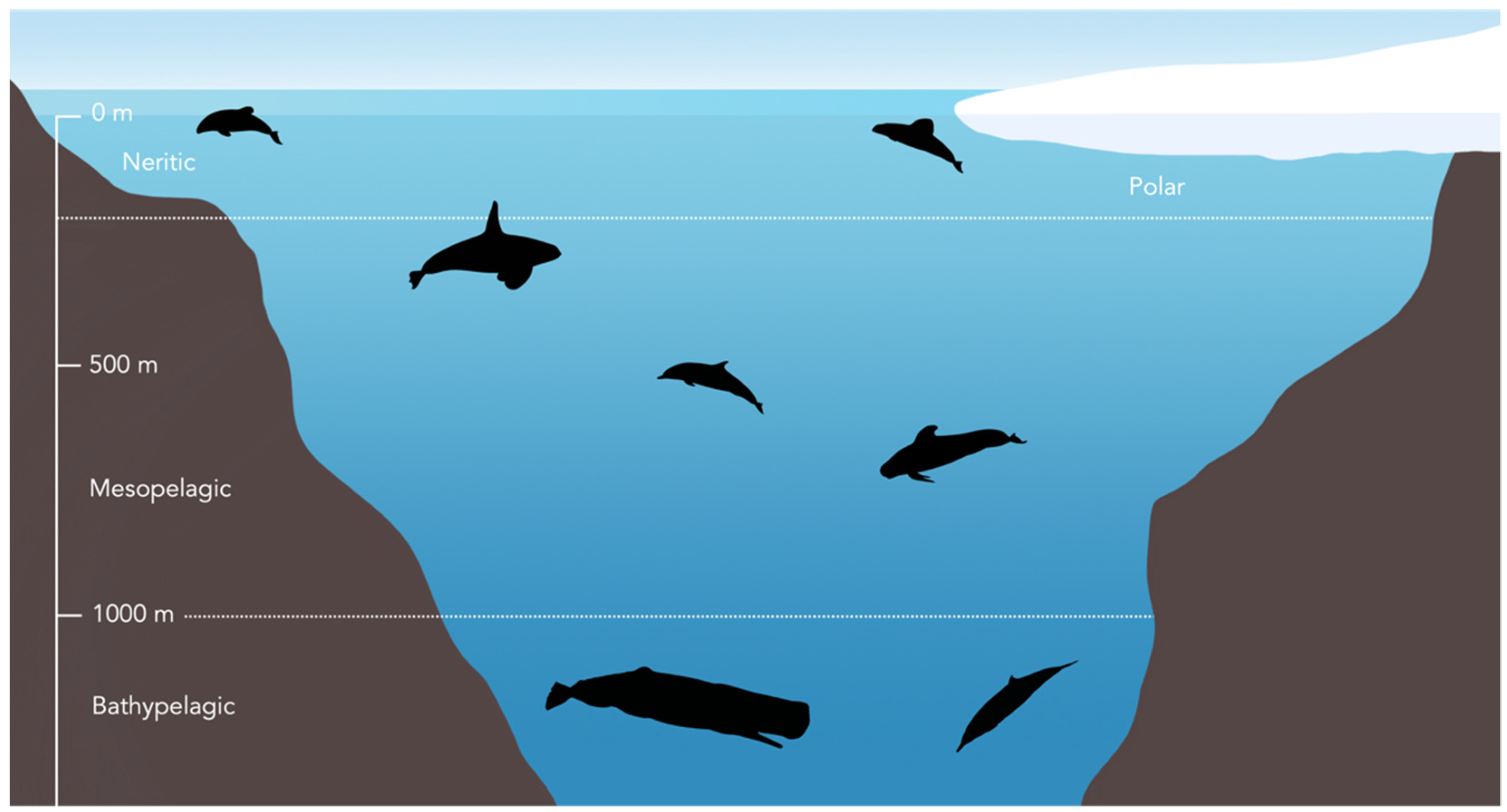 Biology 11 01179 g002